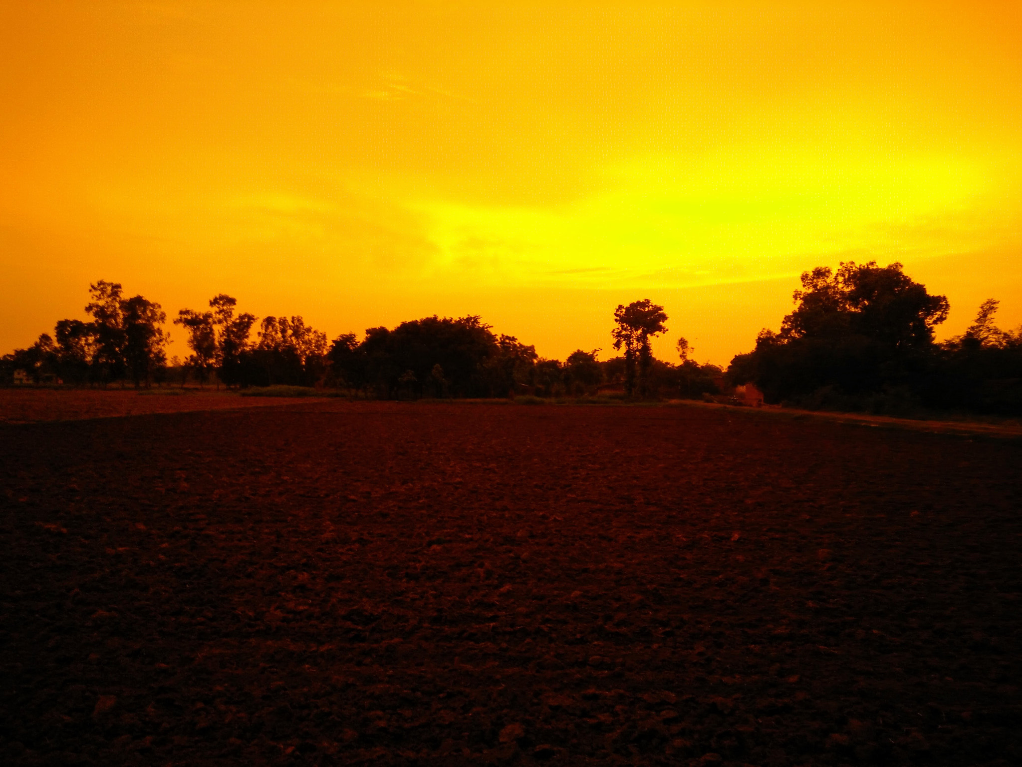 OnePlus ONE E1003 sample photo. Evening time* photography