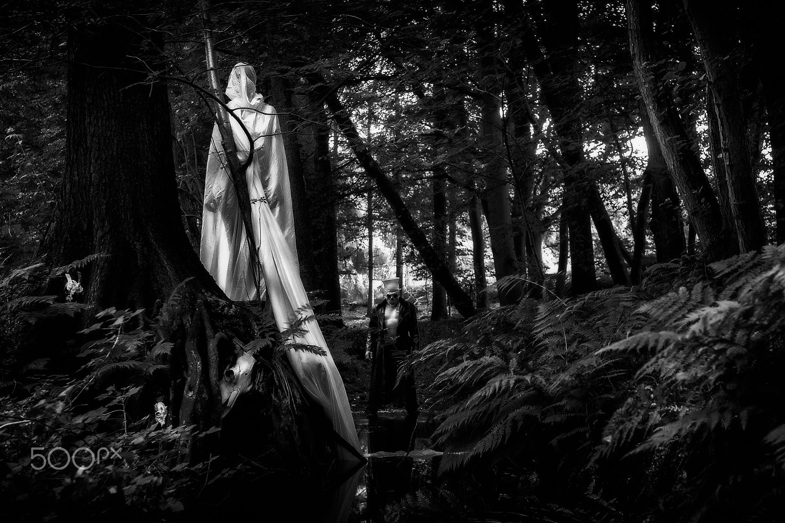Nikon AF-S Nikkor 28-70mm F2.8 ED-IF sample photo. From the death-files photography