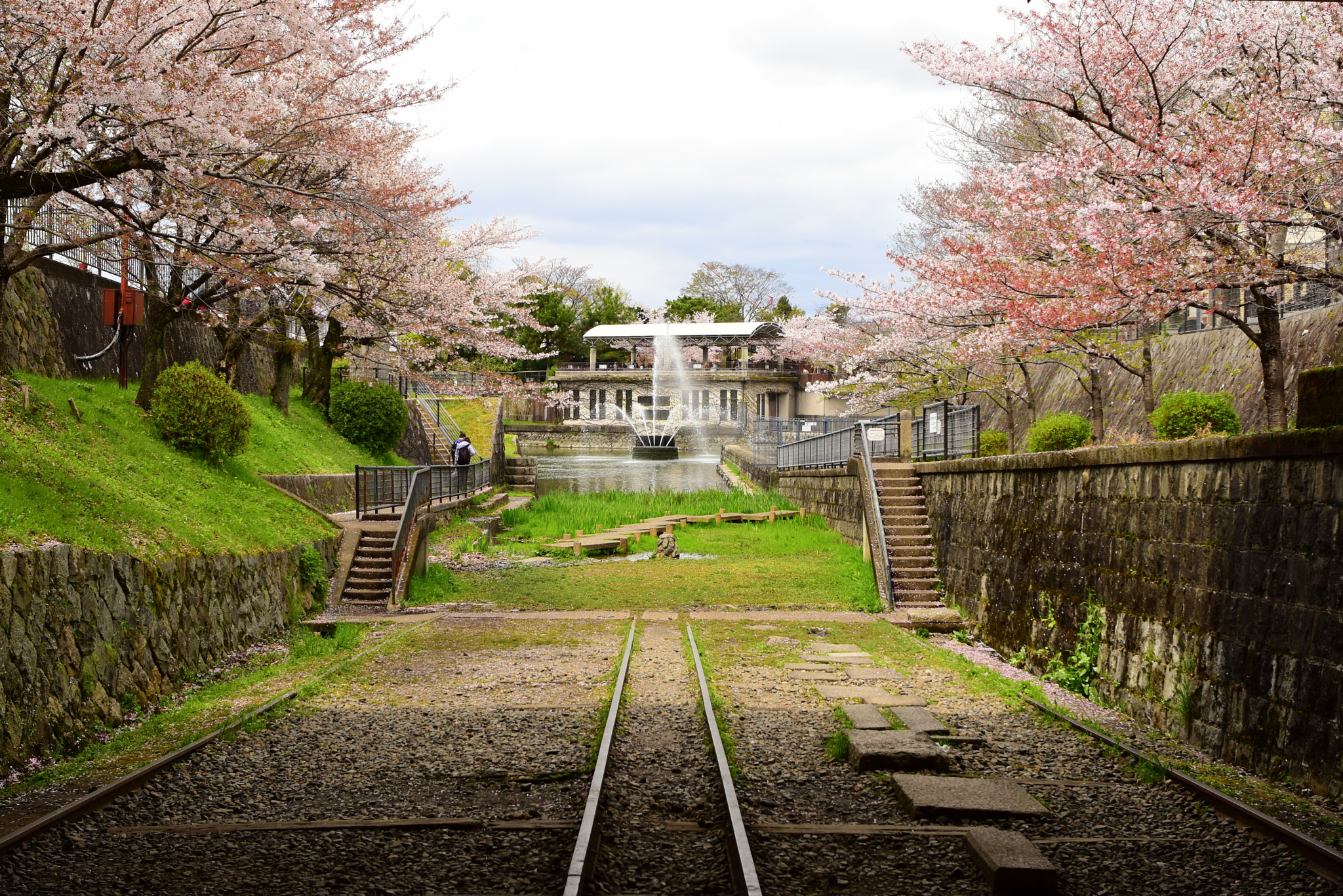 Nikon AF-S Nikkor 28mm F1.8G sample photo. Sakura, keage, kyoto photography