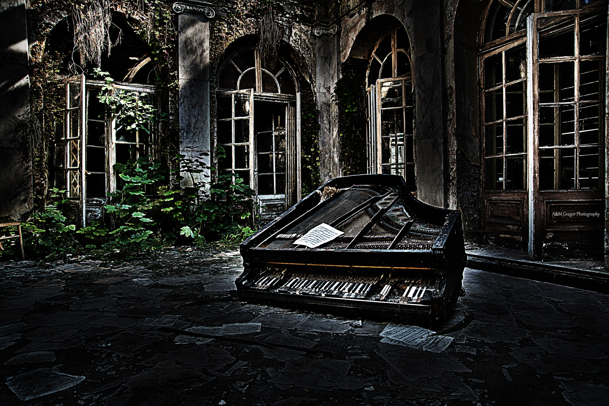 Nikon D600 sample photo. Old palace photography