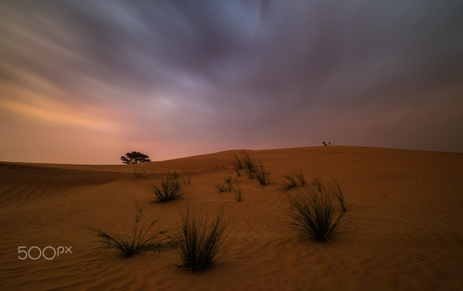 Samyang 14mm F2.8 ED AS IF UMC sample photo. Rainy desert photography