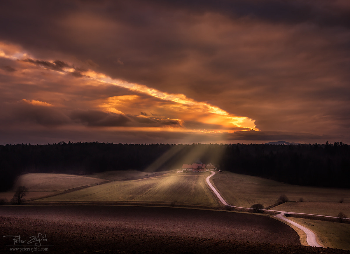 Nikon D810 sample photo. Touch of light photography