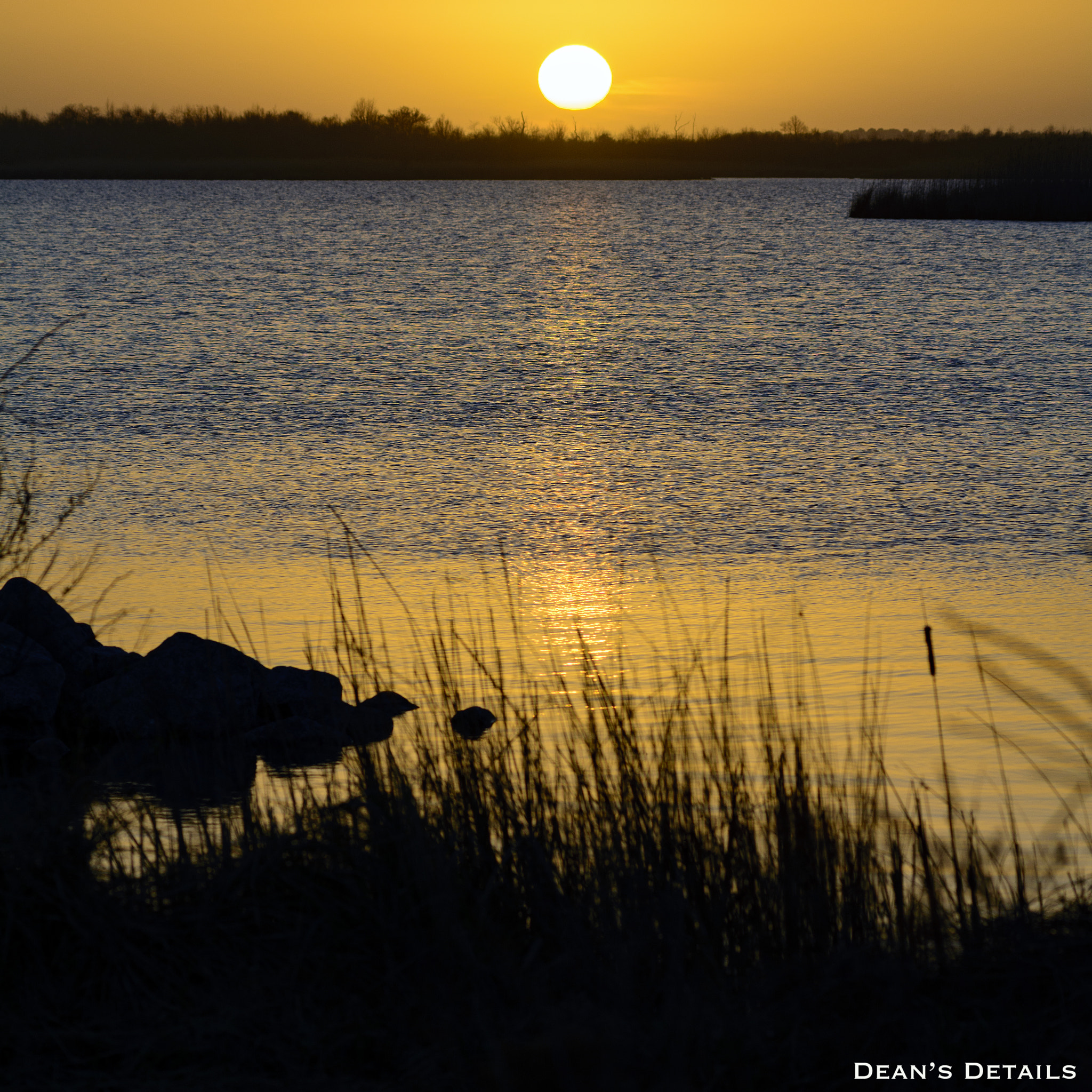 AF Zoom-Nikkor 80-200mm f/2.8 ED sample photo. Little island & back bay photography