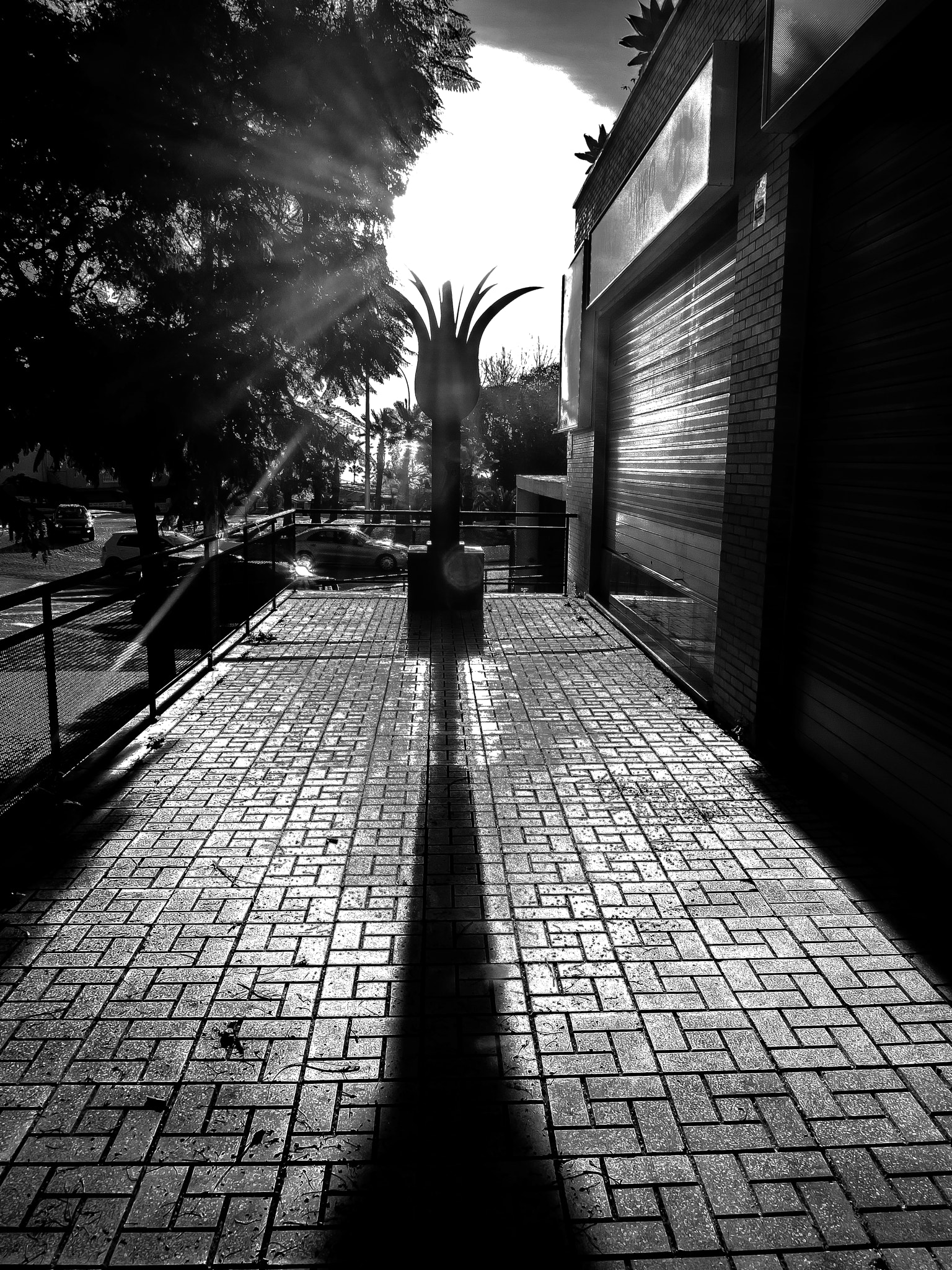 Olympus PEN E-P1 sample photo