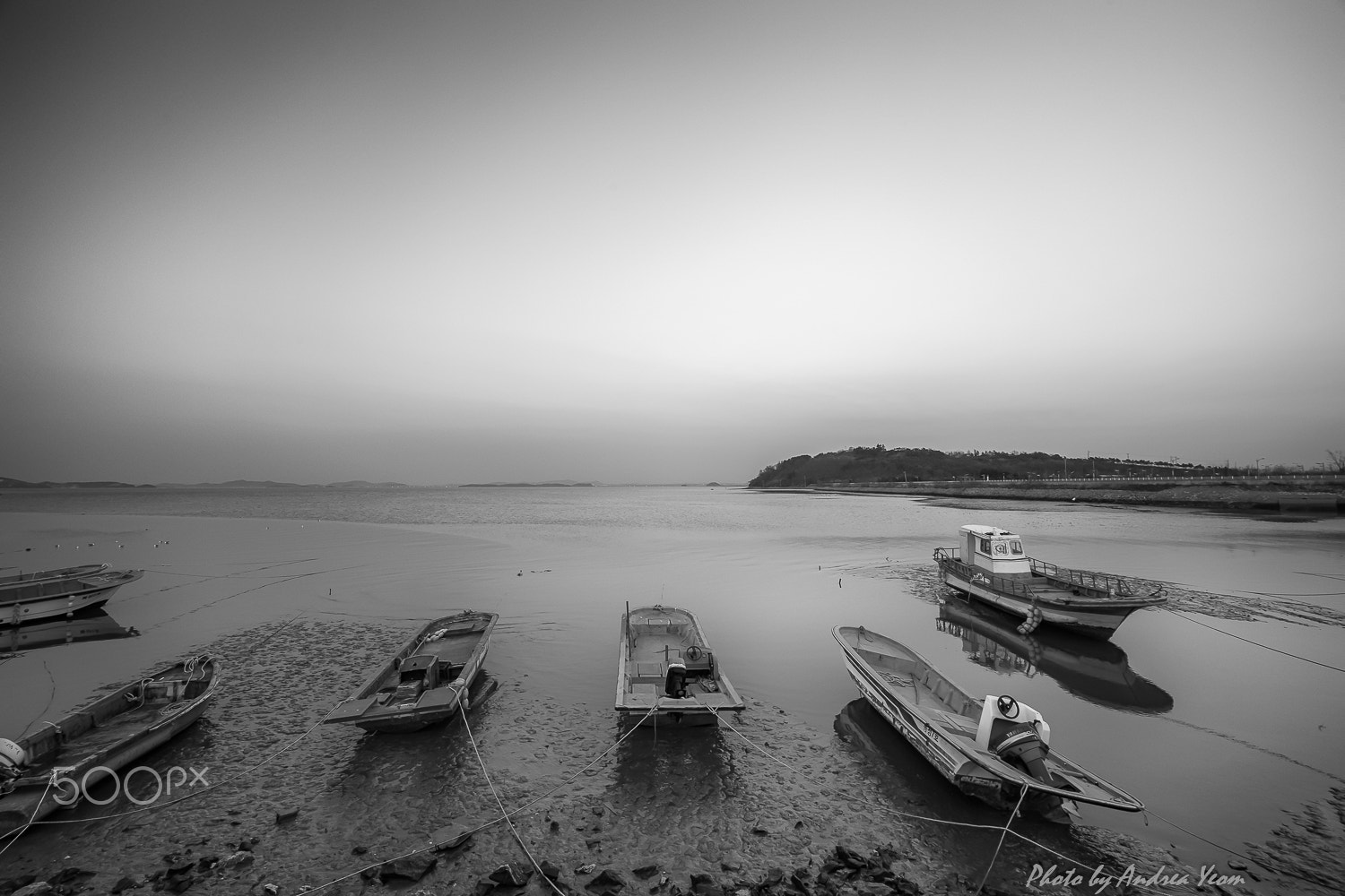 Nikon D5 sample photo. All alike photography