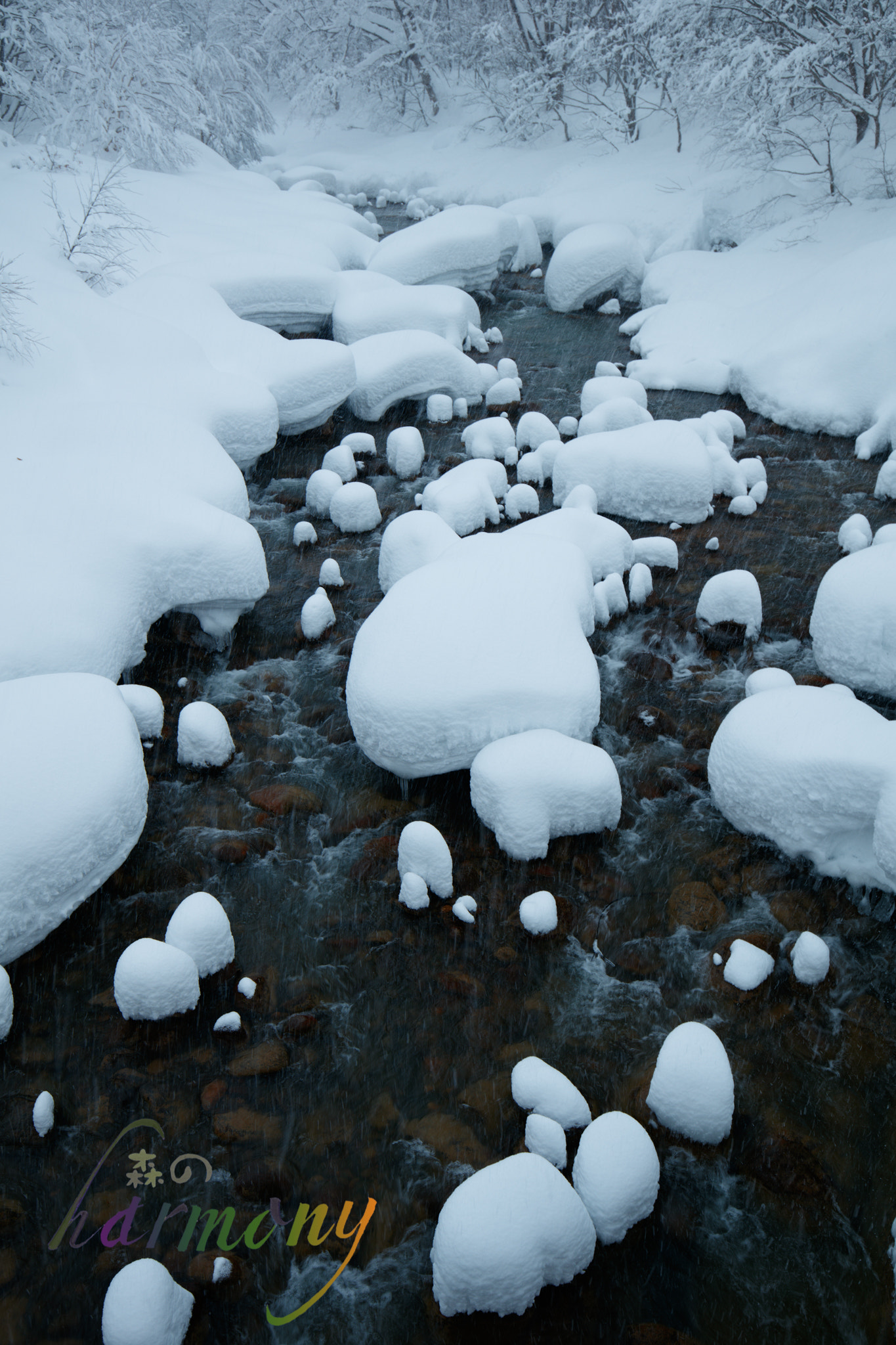 Canon EOS 5DS sample photo. River of the snow country photography
