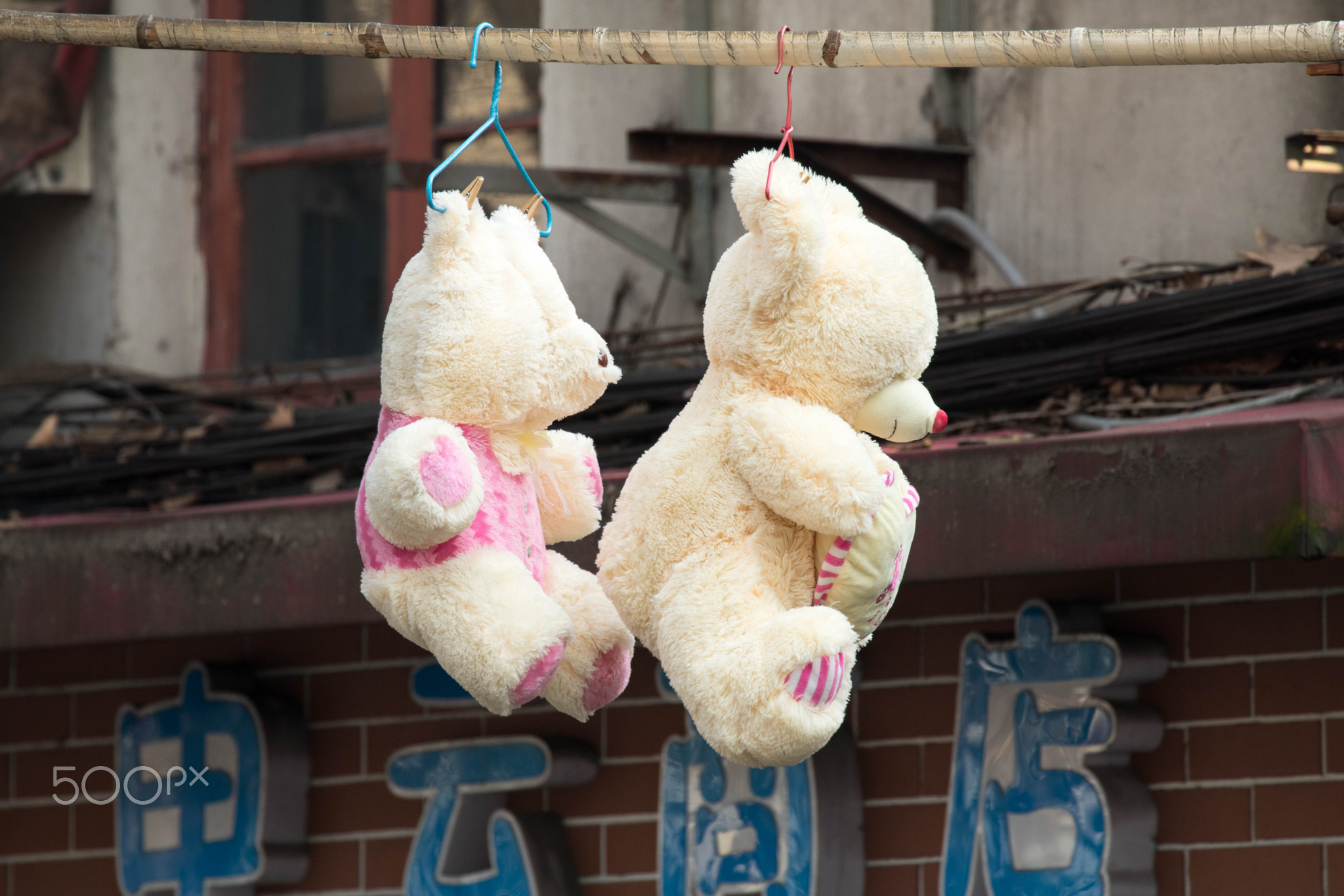 bear couple