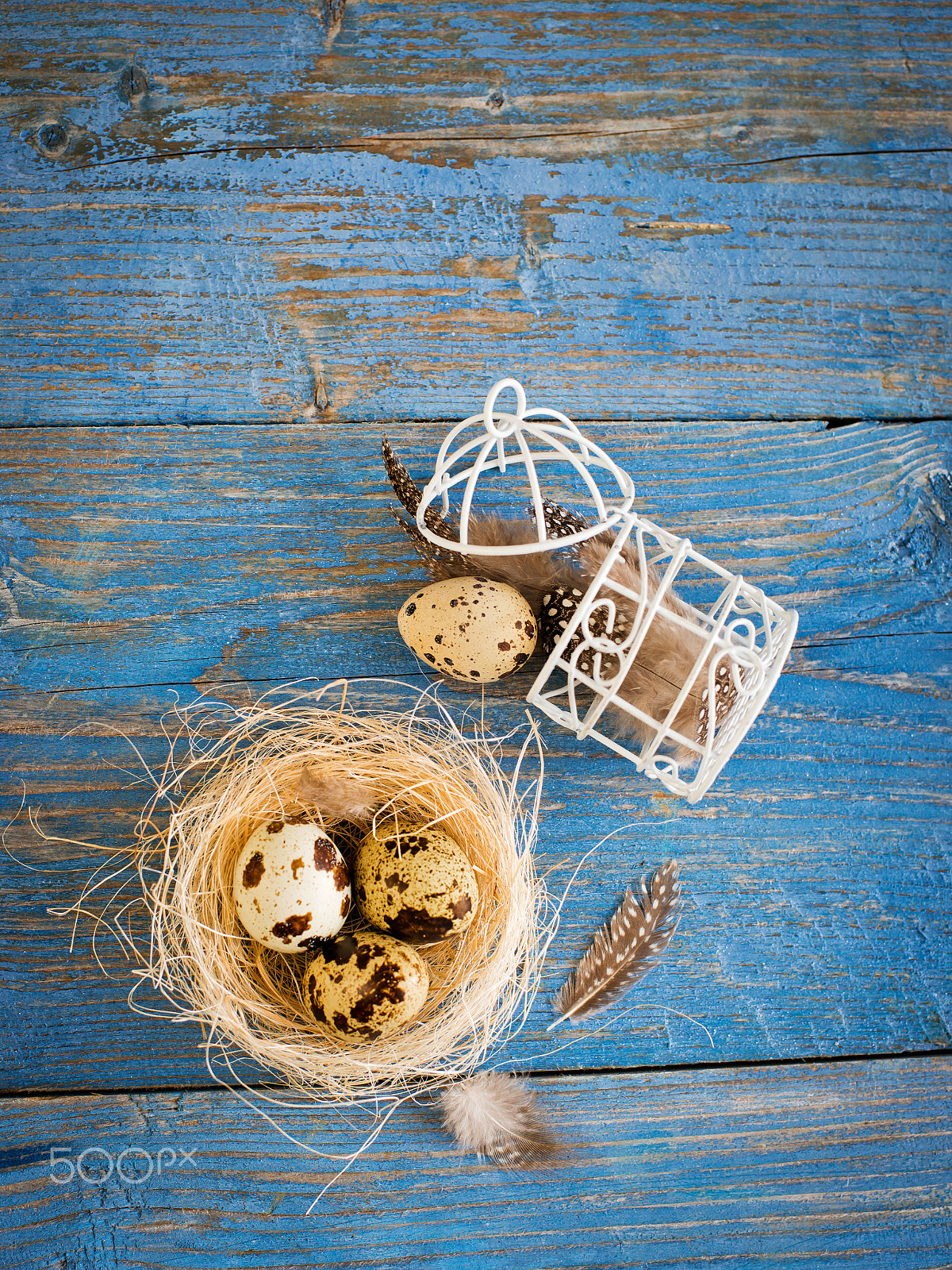 Nikon D800 + Nikon AF Nikkor 50mm F1.4D sample photo. Quail eggs on a blue wooden background photography