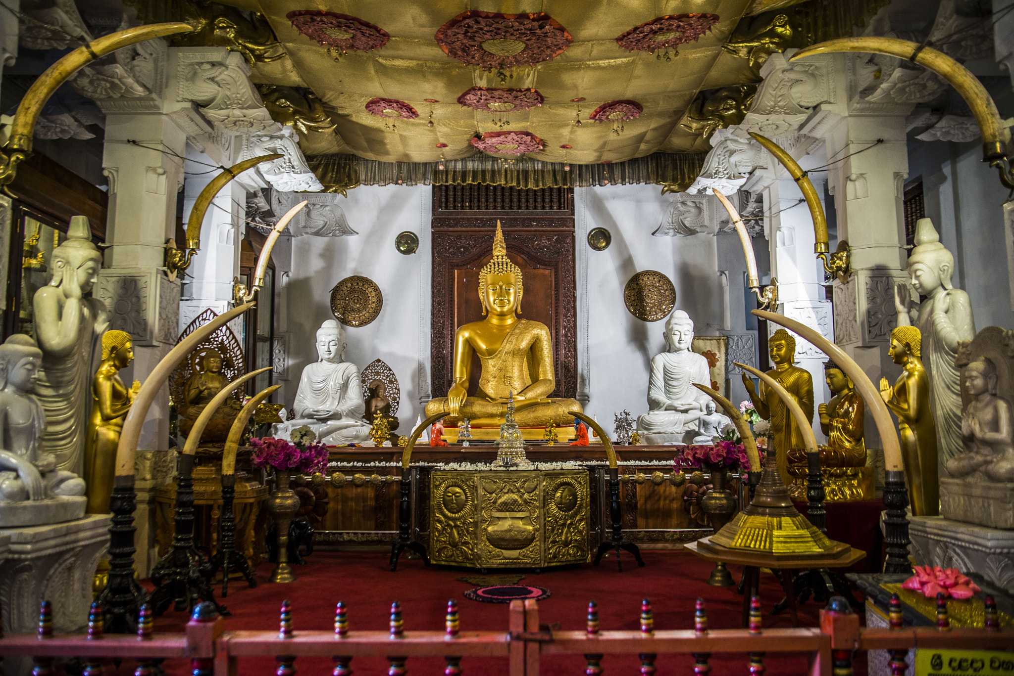 Nikon D610 sample photo. Golden buddhas photography