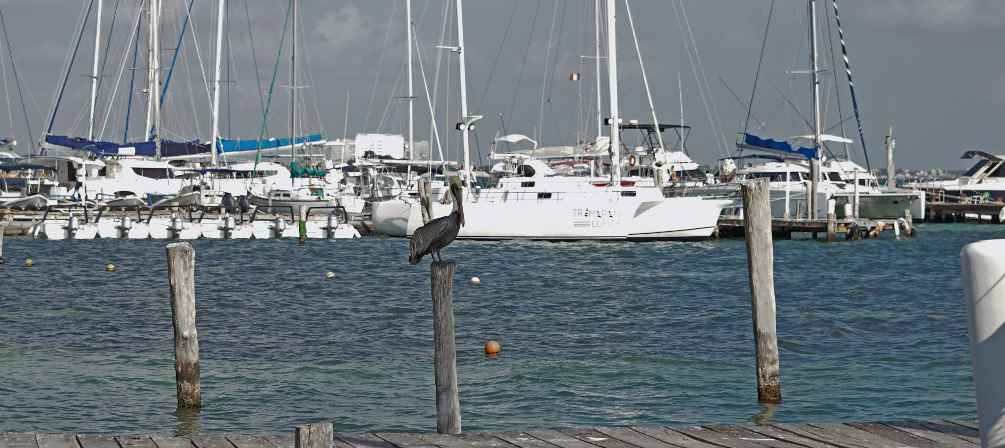 Sony ILCA-77M2 sample photo. 32058201763.jpg photography