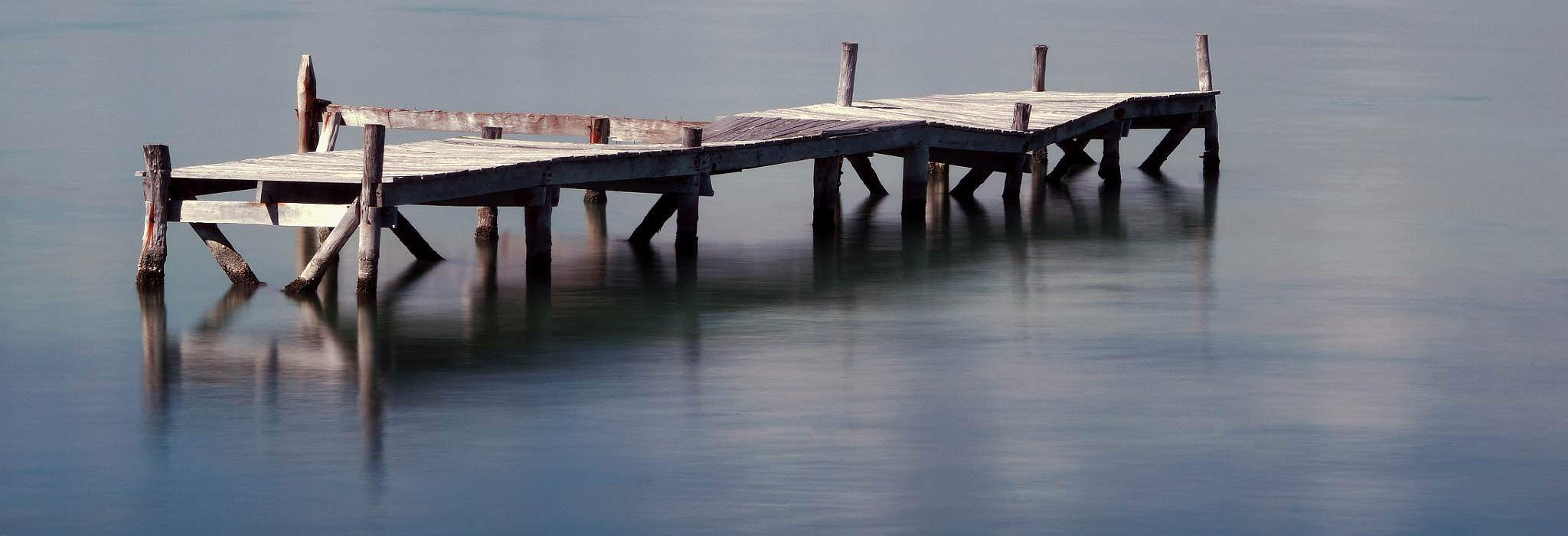 Sony ILCA-77M2 sample photo. 32872656925.jpg photography