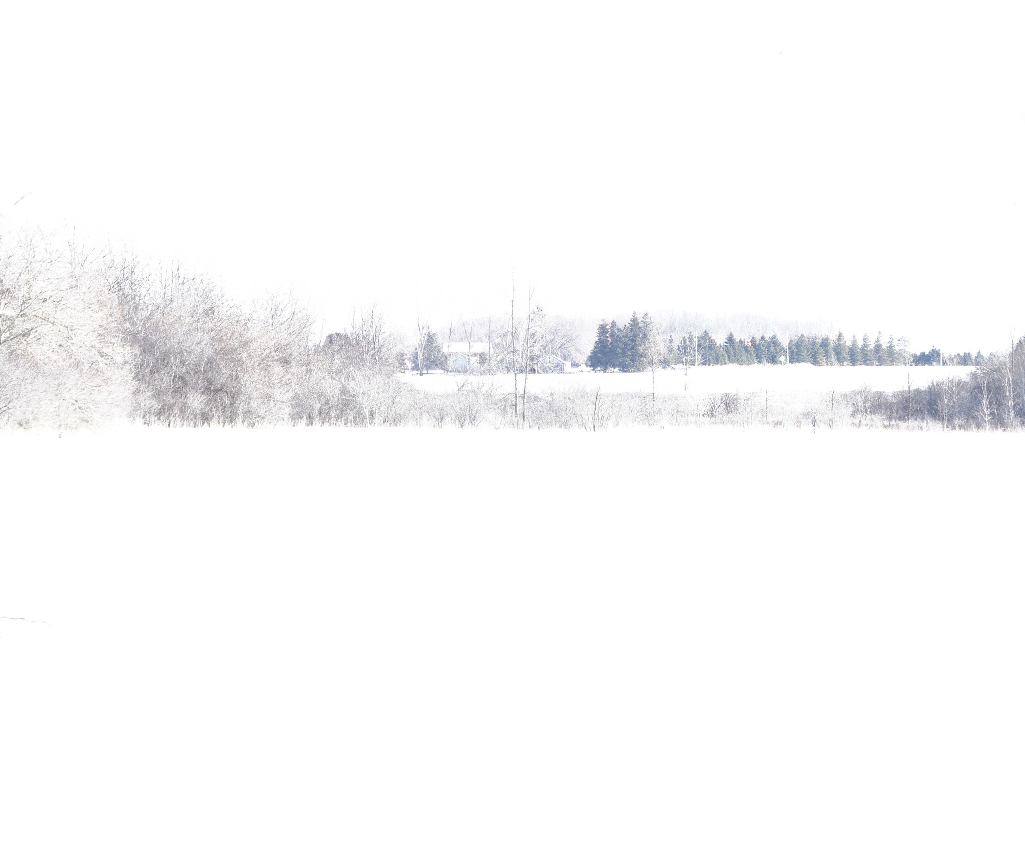 Sony ILCA-77M2 sample photo. 32215743240.jpg photography
