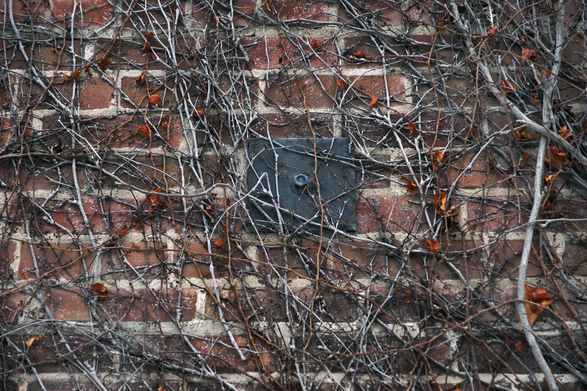 Sony ILCA-77M2 sample photo. 31661219351.jpg photography
