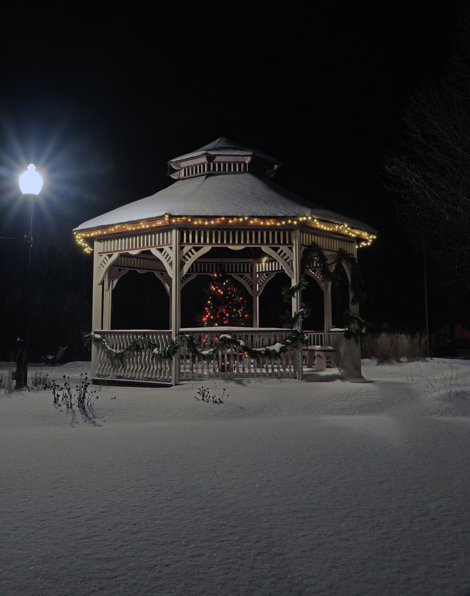 Sony ILCA-77M2 sample photo. 31597428706.jpg photography
