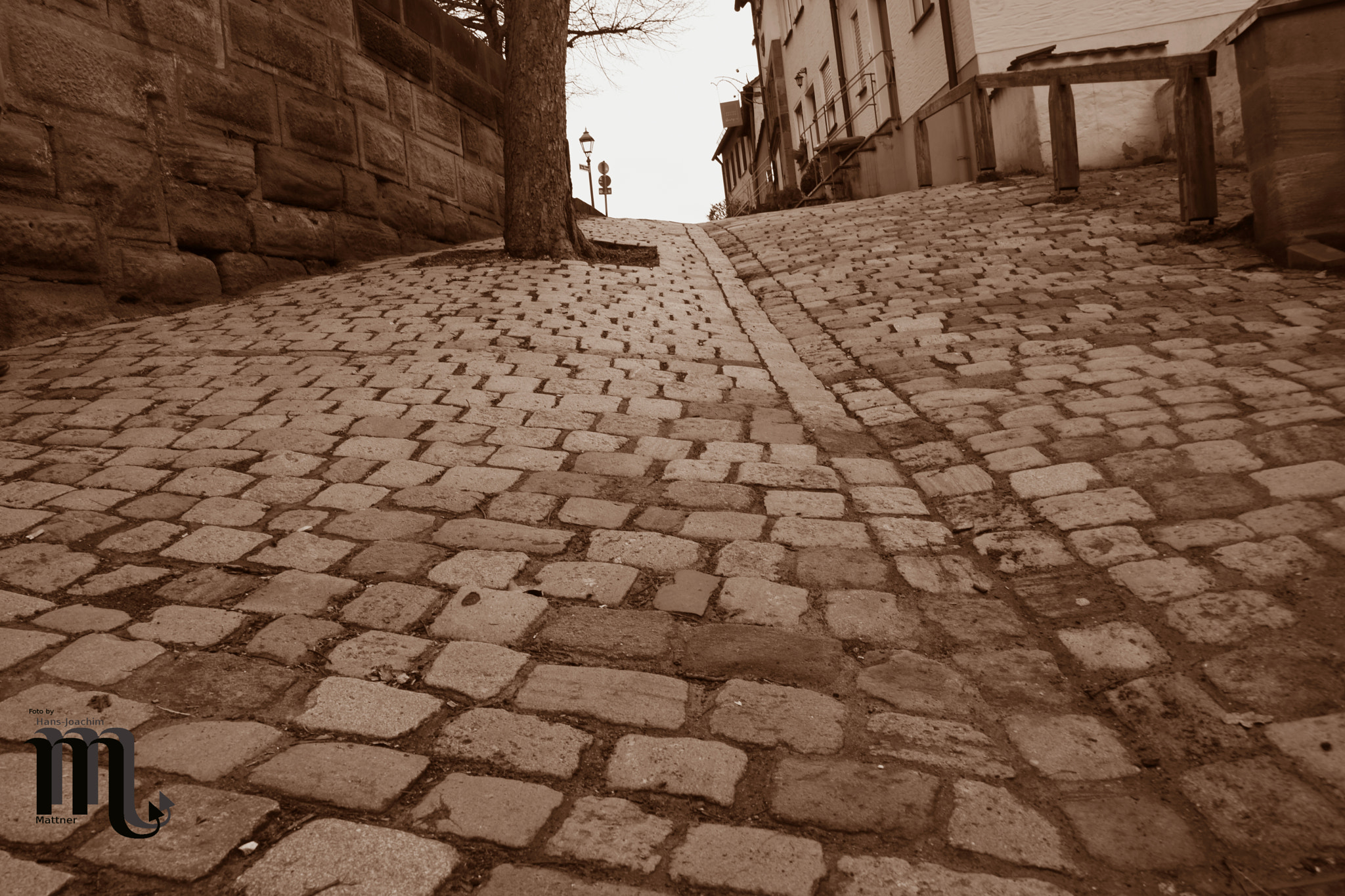 Nikon D5600 sample photo. Hard way up photography