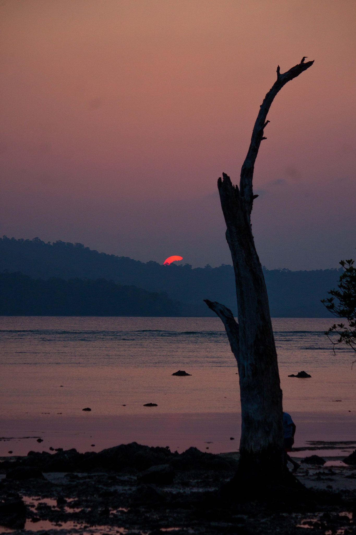 Canon EF-S 55-250mm F4-5.6 IS sample photo. Sunset at chidiya tapu photography