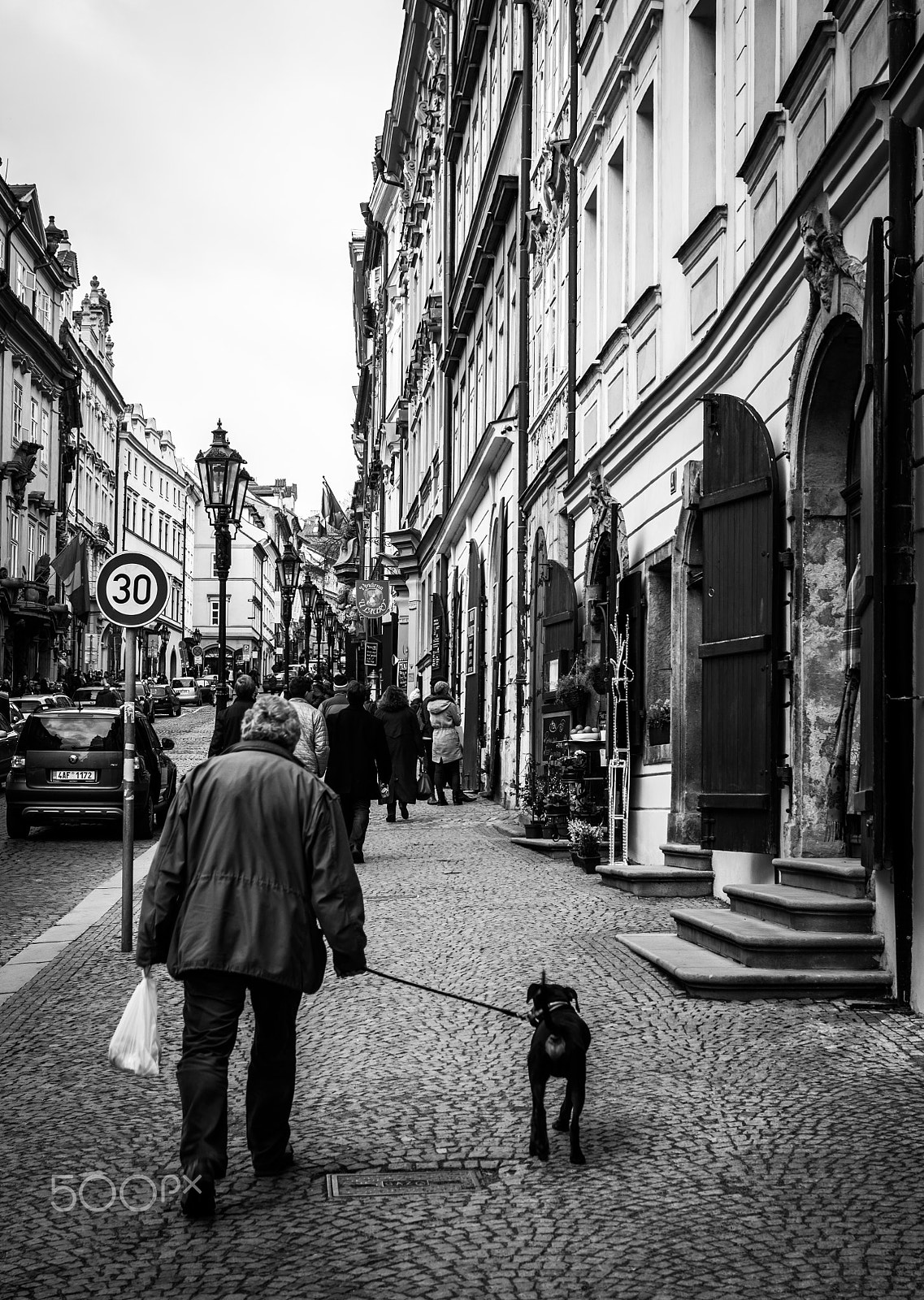 Pentax K-3 II + Pentax smc DA 35mm F2.4 AL sample photo. Old man with his dog in prague photography