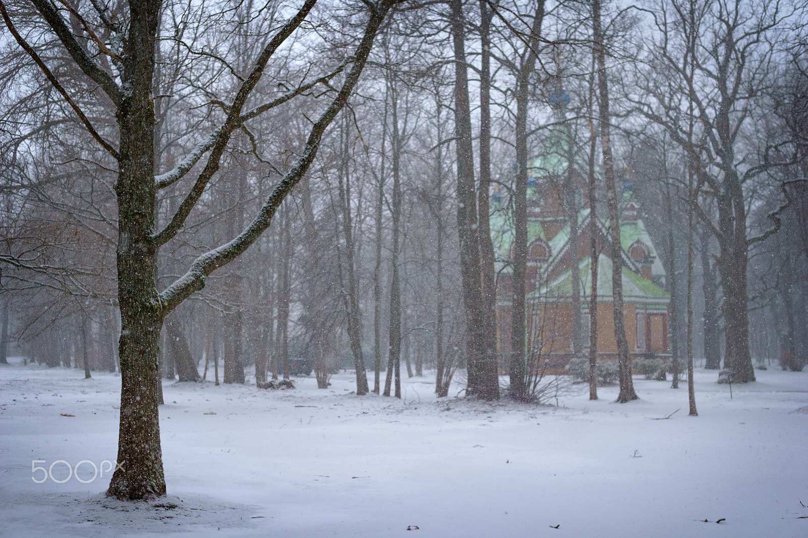 Sony a6000 sample photo. Walk on the old park park in kemeri photography