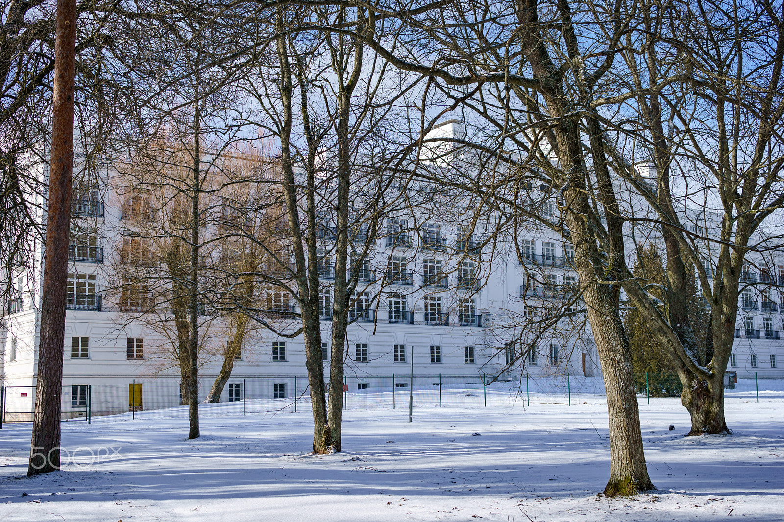 Sony a6000 sample photo. Walk on the old park park in kemeri photography