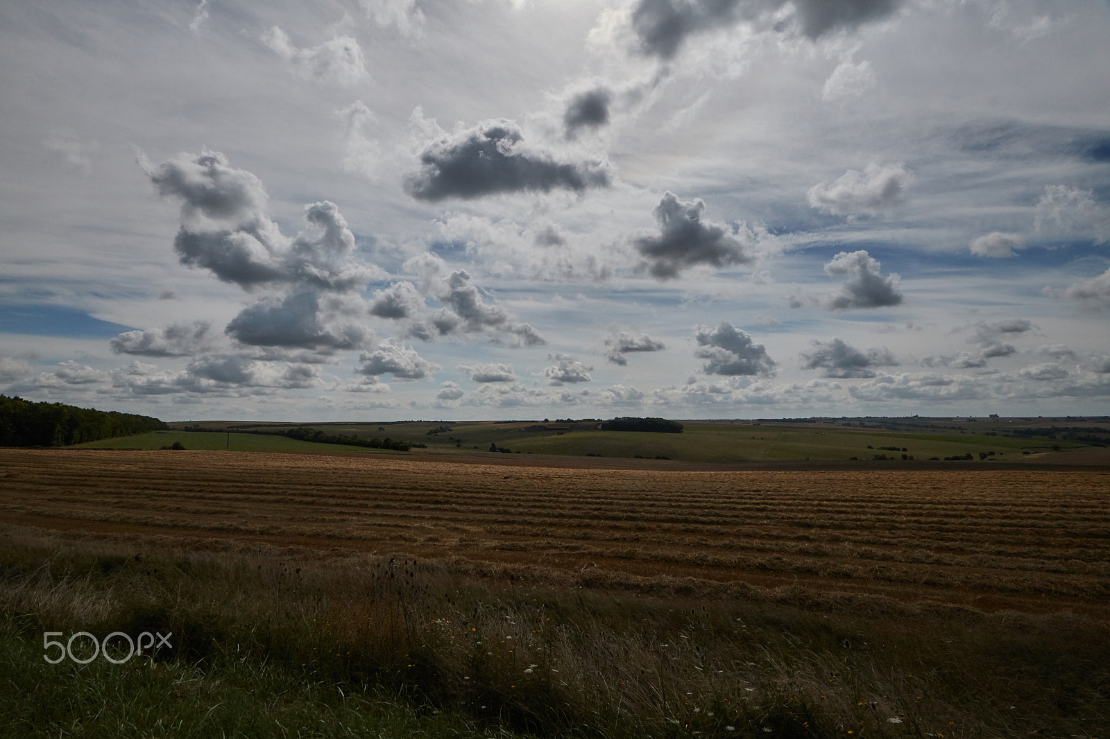 Canon EOS 760D (EOS Rebel T6s / EOS 8000D) + Canon EF-S 10-22mm F3.5-4.5 USM sample photo. Field in normandy photography