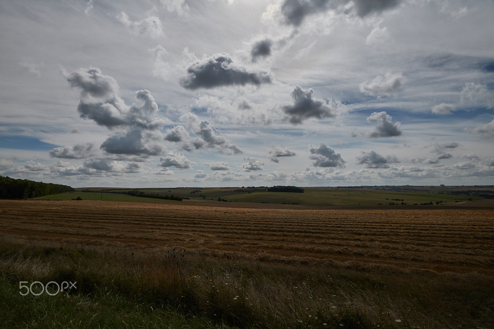 Canon EOS 760D (EOS Rebel T6s / EOS 8000D) sample photo. Field in normandy photography