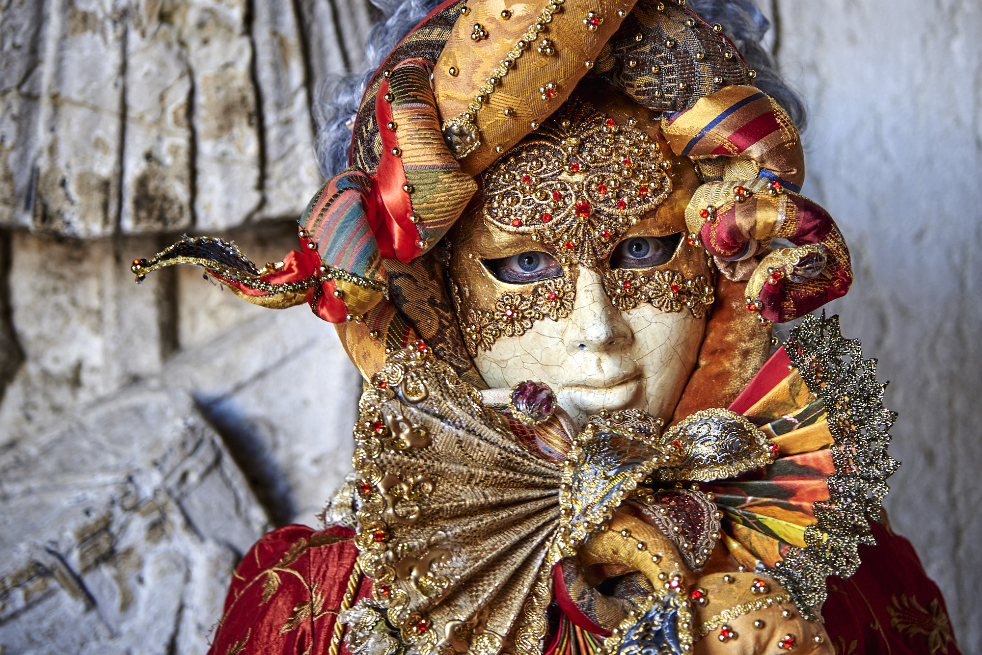 Nikon AF-S Nikkor 24-120mm F4G ED VR sample photo. Venezia carnival 2017 photography