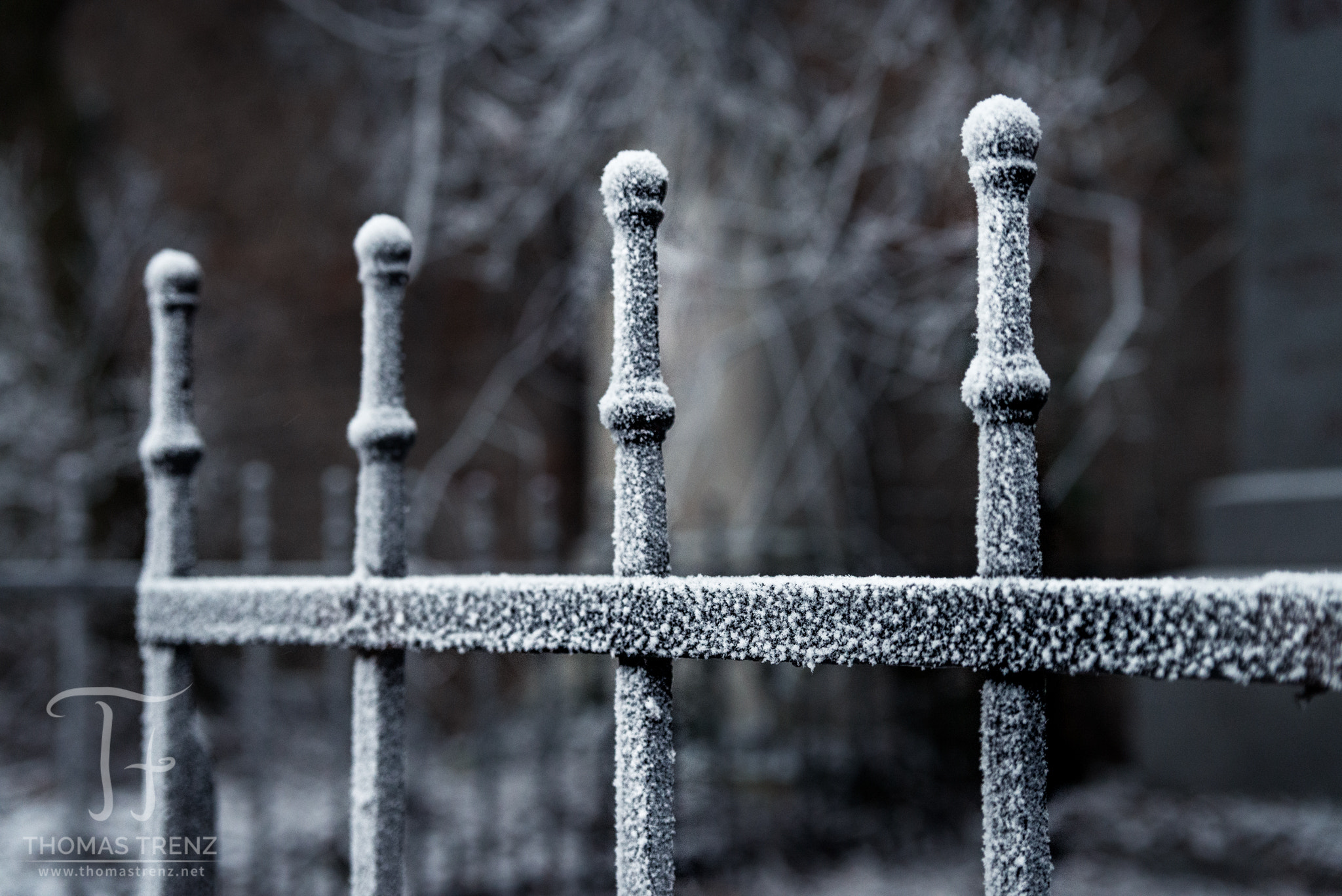 Nikon D600 sample photo. Cold days photography
