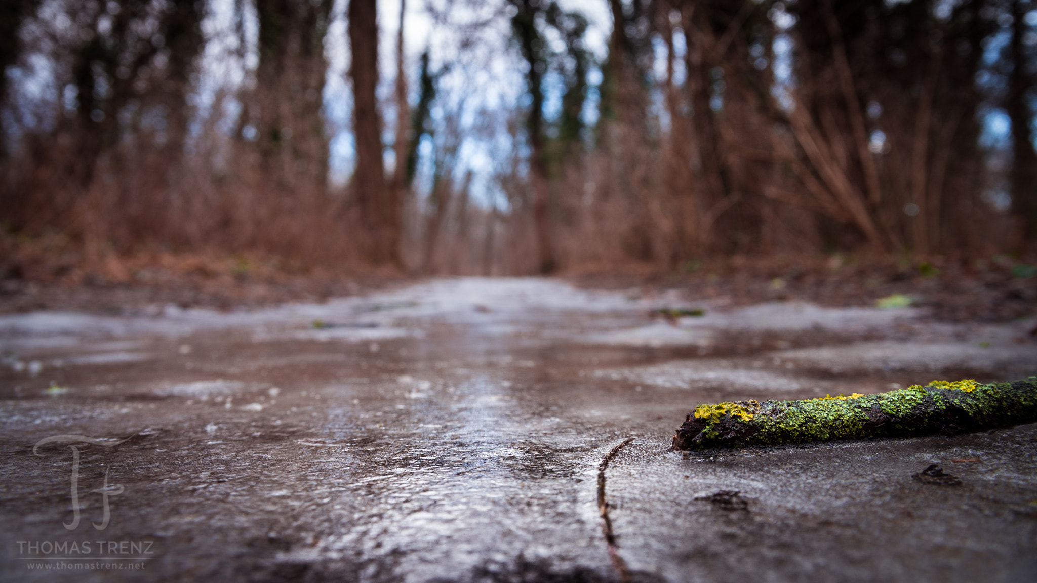 Nikon D600 sample photo. The icy way photography