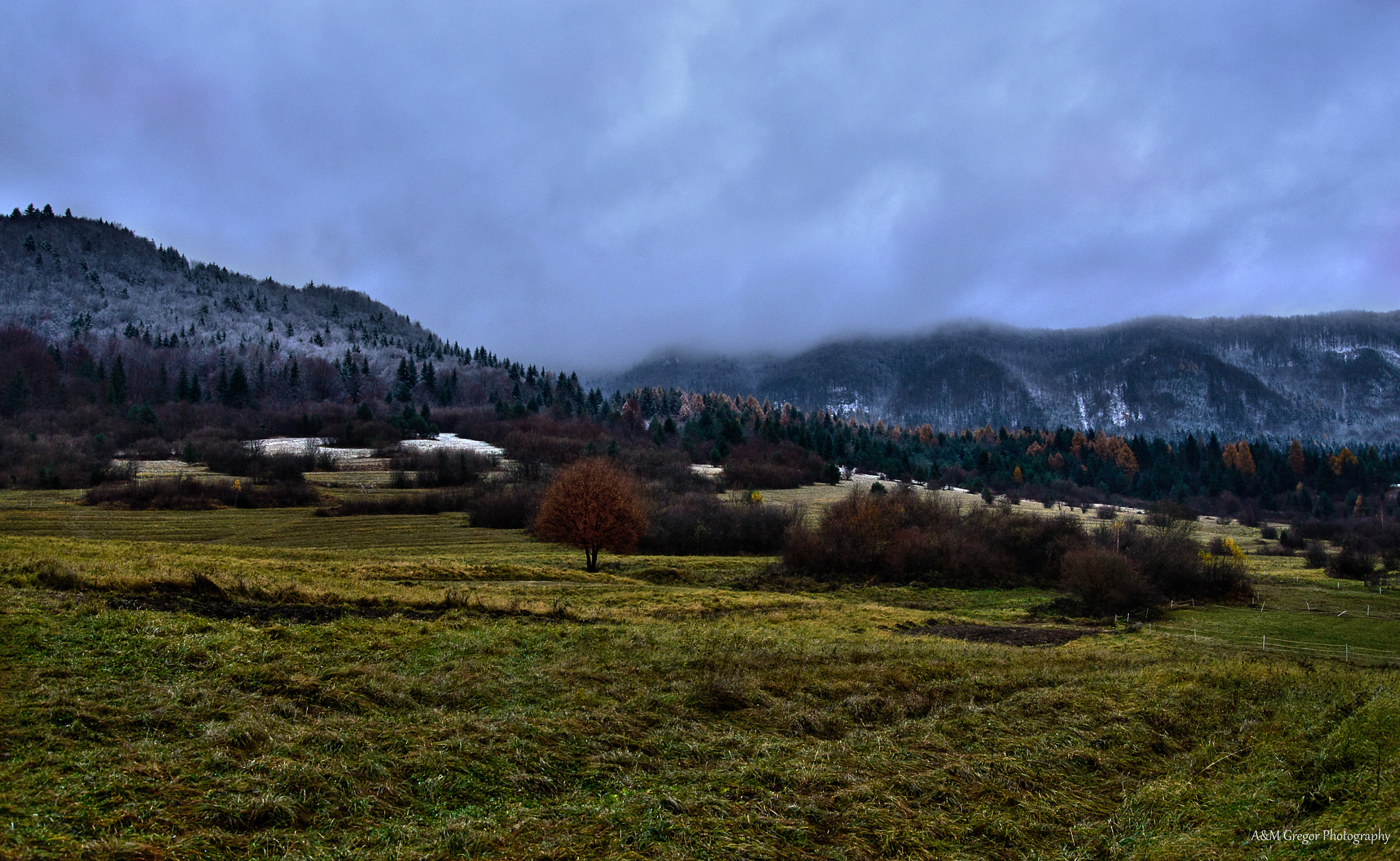 Nikon D600 sample photo. Just be there... photography