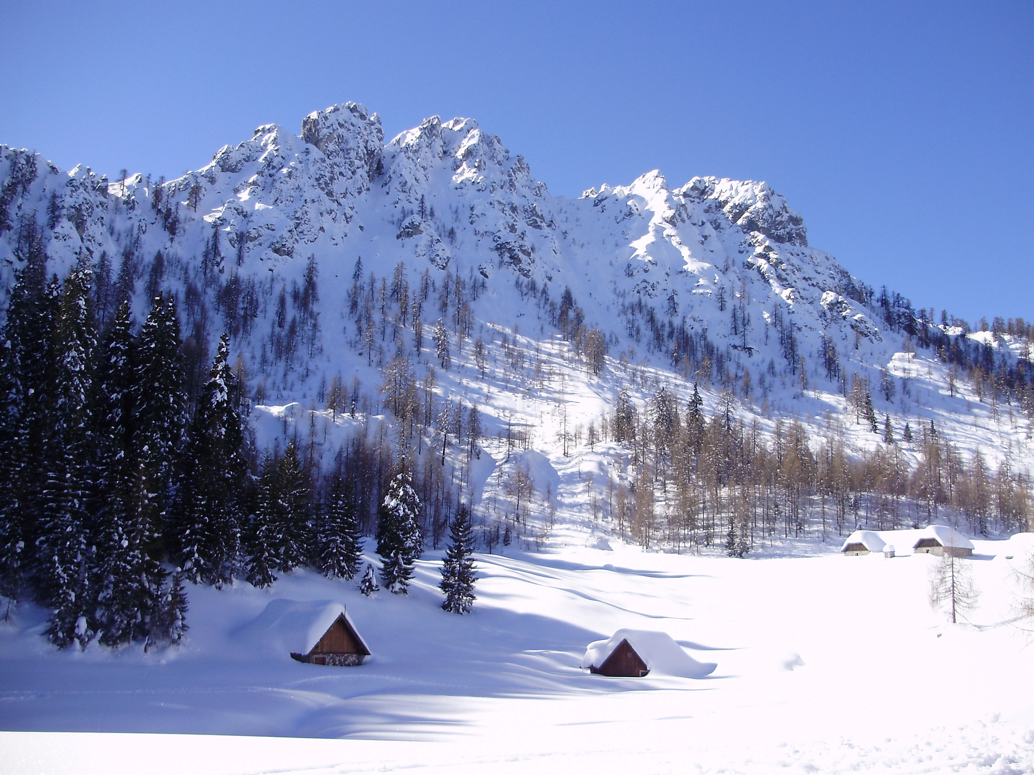 Olympus FE310,X840,C530 sample photo. Tarvisio photography
