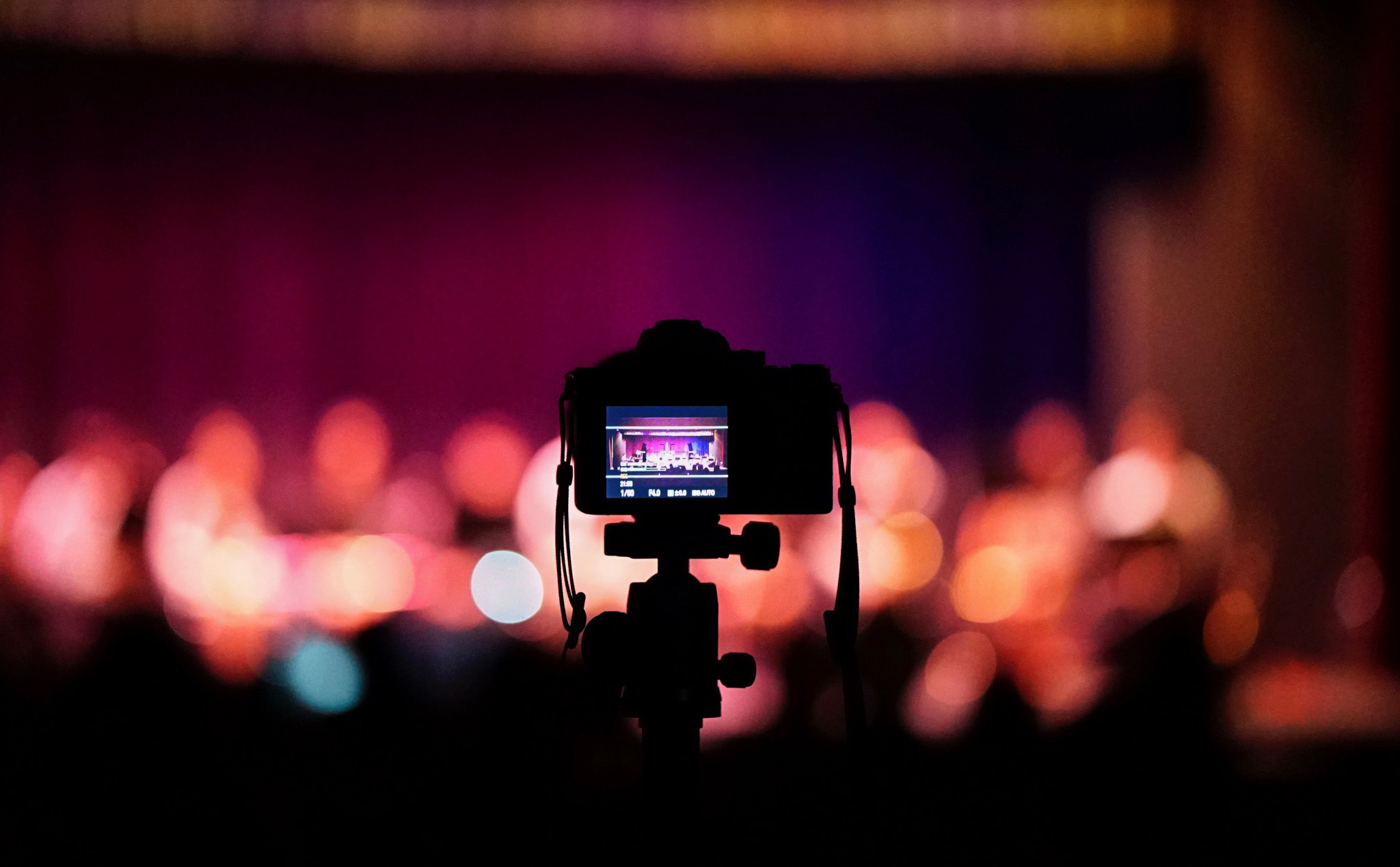 ZEISS Batis 85mm F1.8 sample photo. Marvelwood concert photography