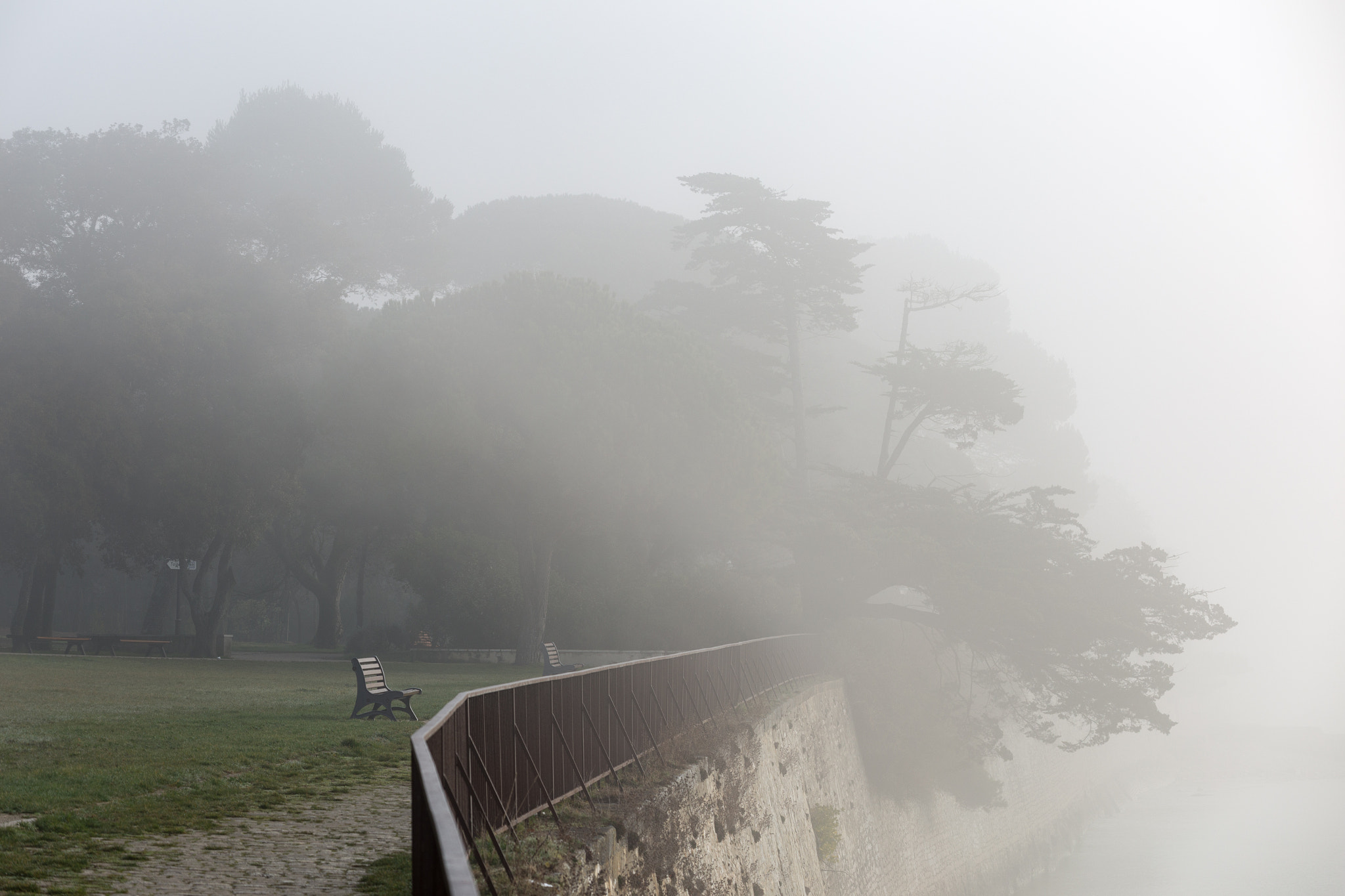 Canon EOS 6D + Tamron SP 35mm F1.8 Di VC USD sample photo. Mists of la rochelle, france photography