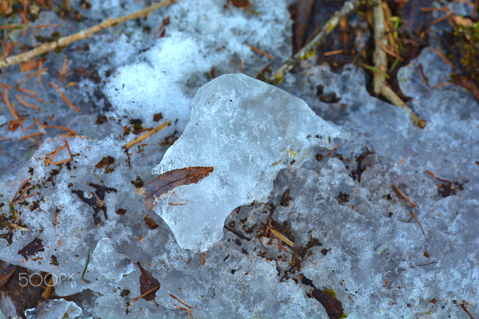 Nikon D7100 sample photo. The ice of life. photography