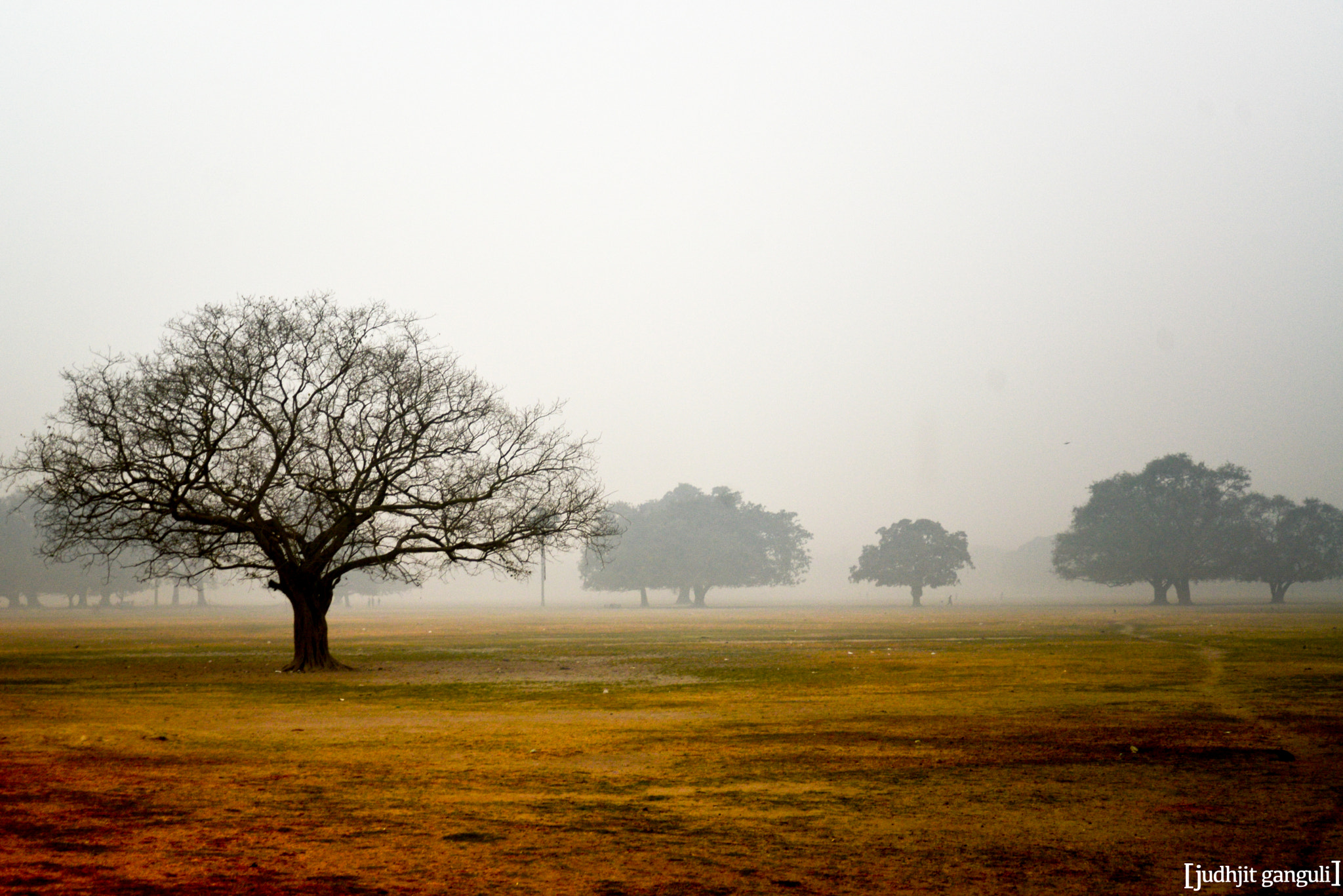 AF Zoom-Nikkor 28-80mm f/3.3-5.6G sample photo. Silhouette's and fog. photography