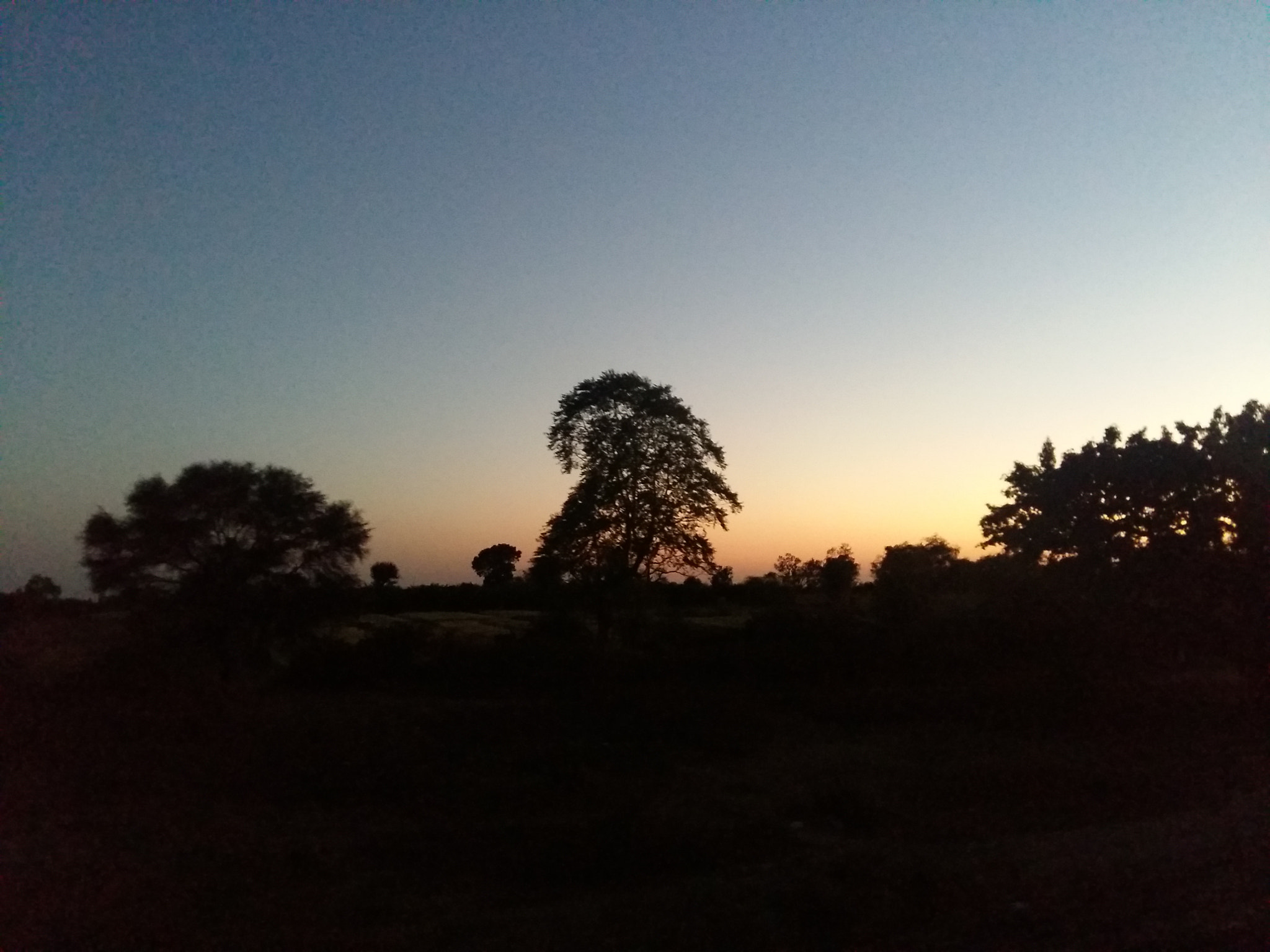 Samsung Galaxy A7 sample photo. Save mother nature  photography