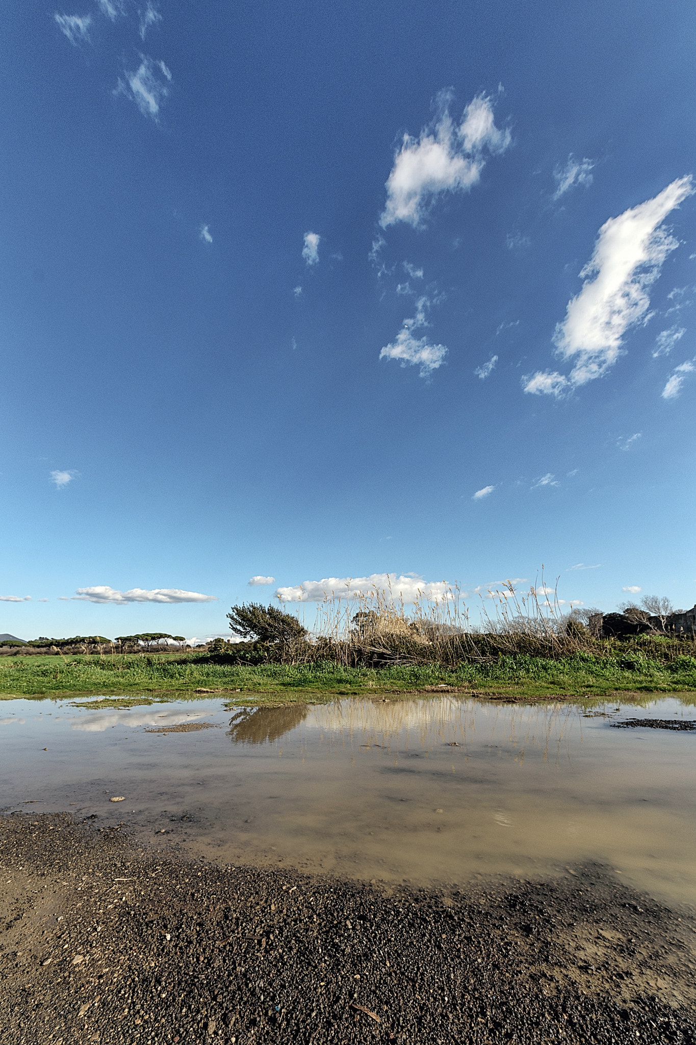 Sigma 8-16mm F4.5-5.6 DC HSM sample photo