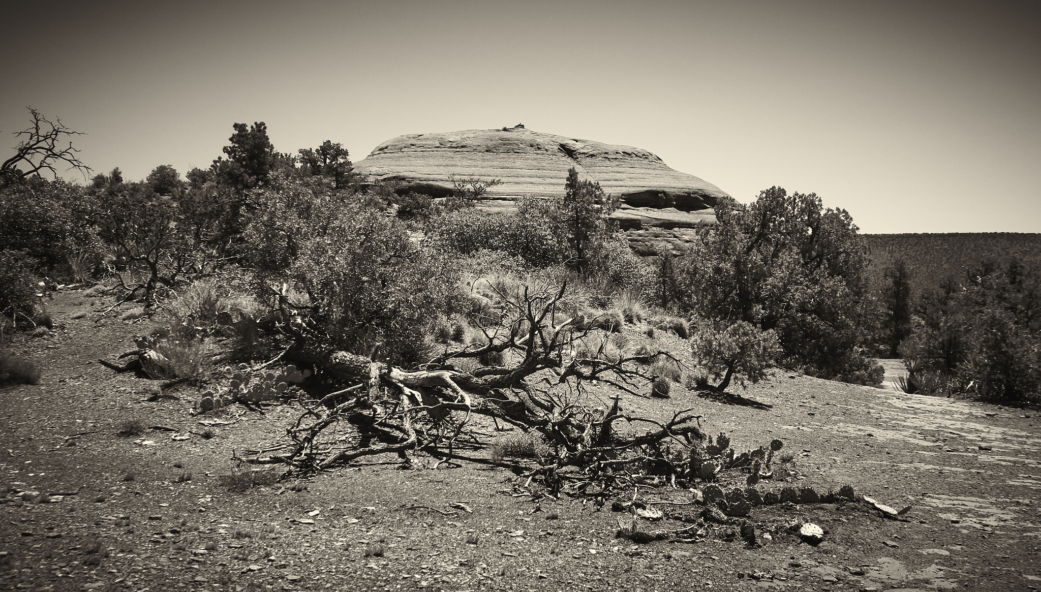 Olympus OM-D E-M5 sample photo. Sedona photography