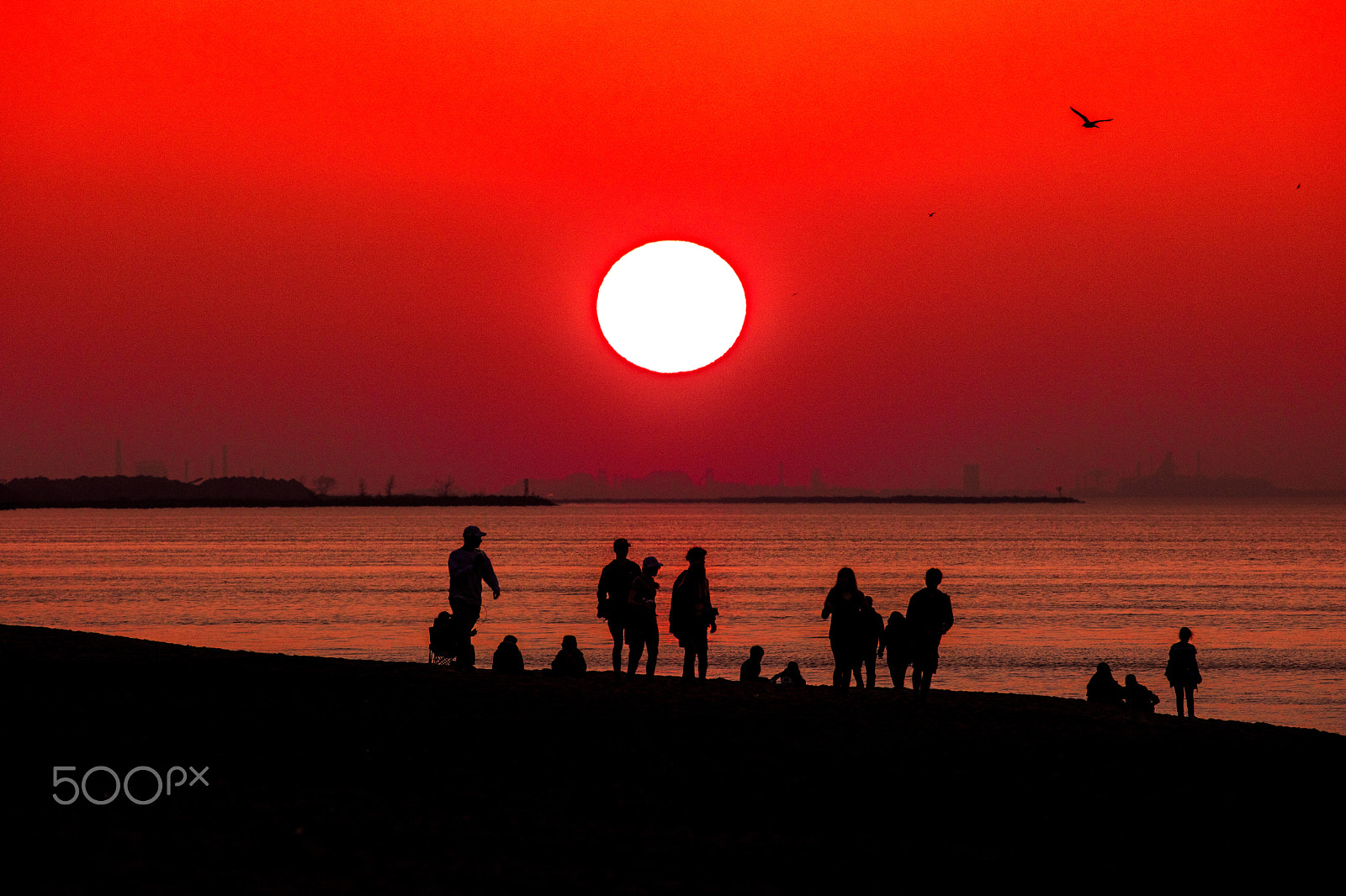 Canon EOS 5DS R + Canon EF 100-400mm F4.5-5.6L IS II USM sample photo. Sunset silhouette photography
