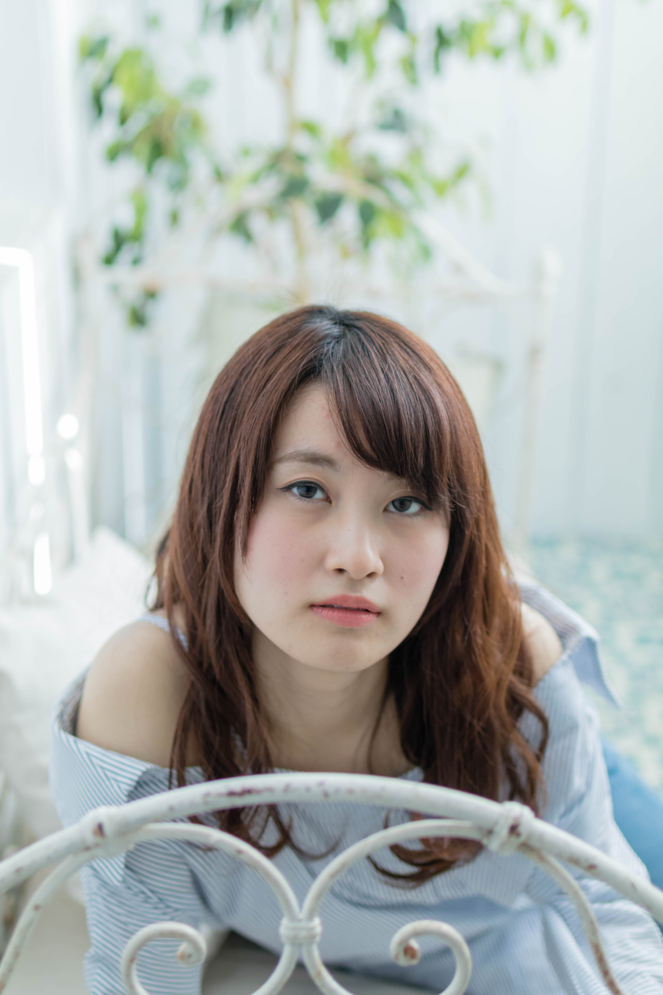 Tamron SP 35mm F1.8 Di VC USD sample photo. 2017/02/12 photography