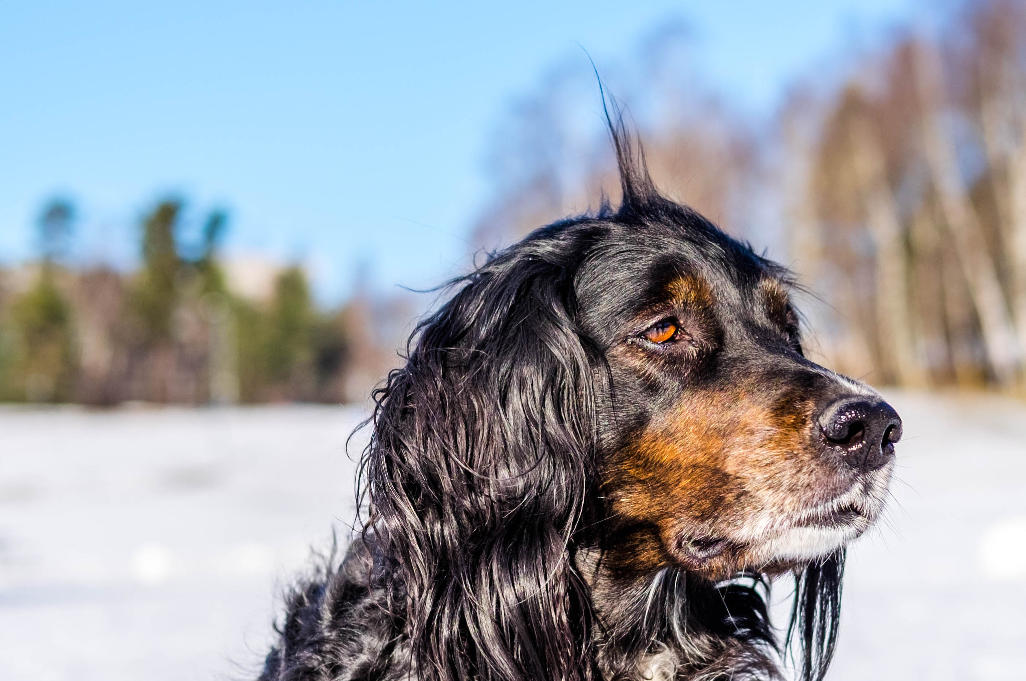 Fujifilm X-T10 + Fujifilm XF 35mm F2 R WR sample photo. Cool look despite bad hair day photography