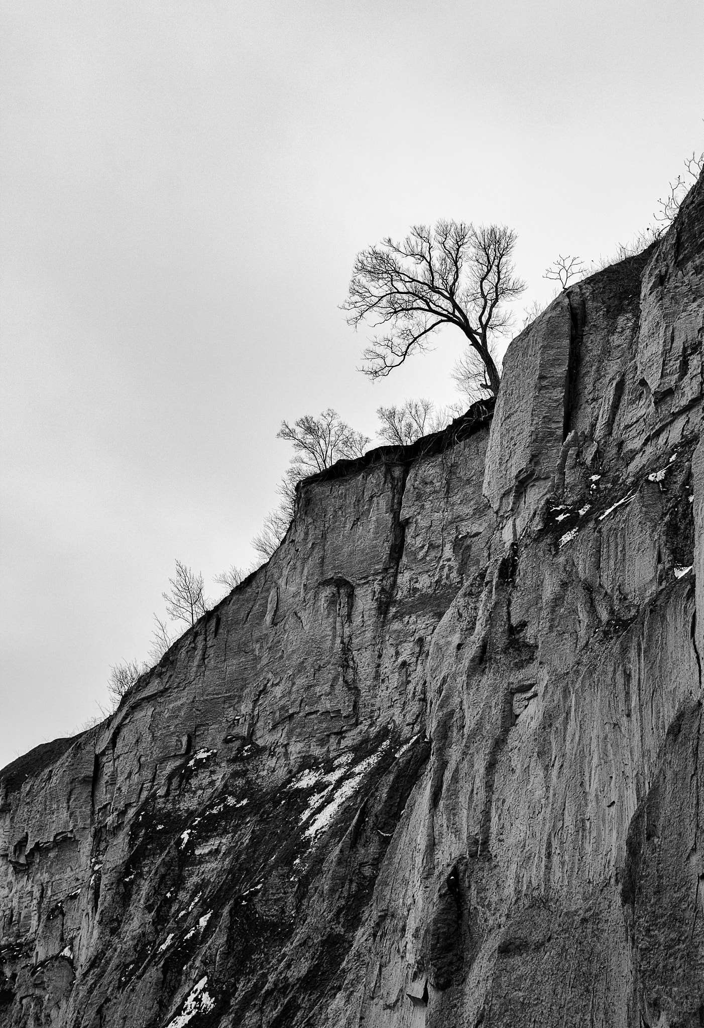 Canon EF-S 17-55mm F2.8 IS USM sample photo. Surviving on the edge of a cliff photography
