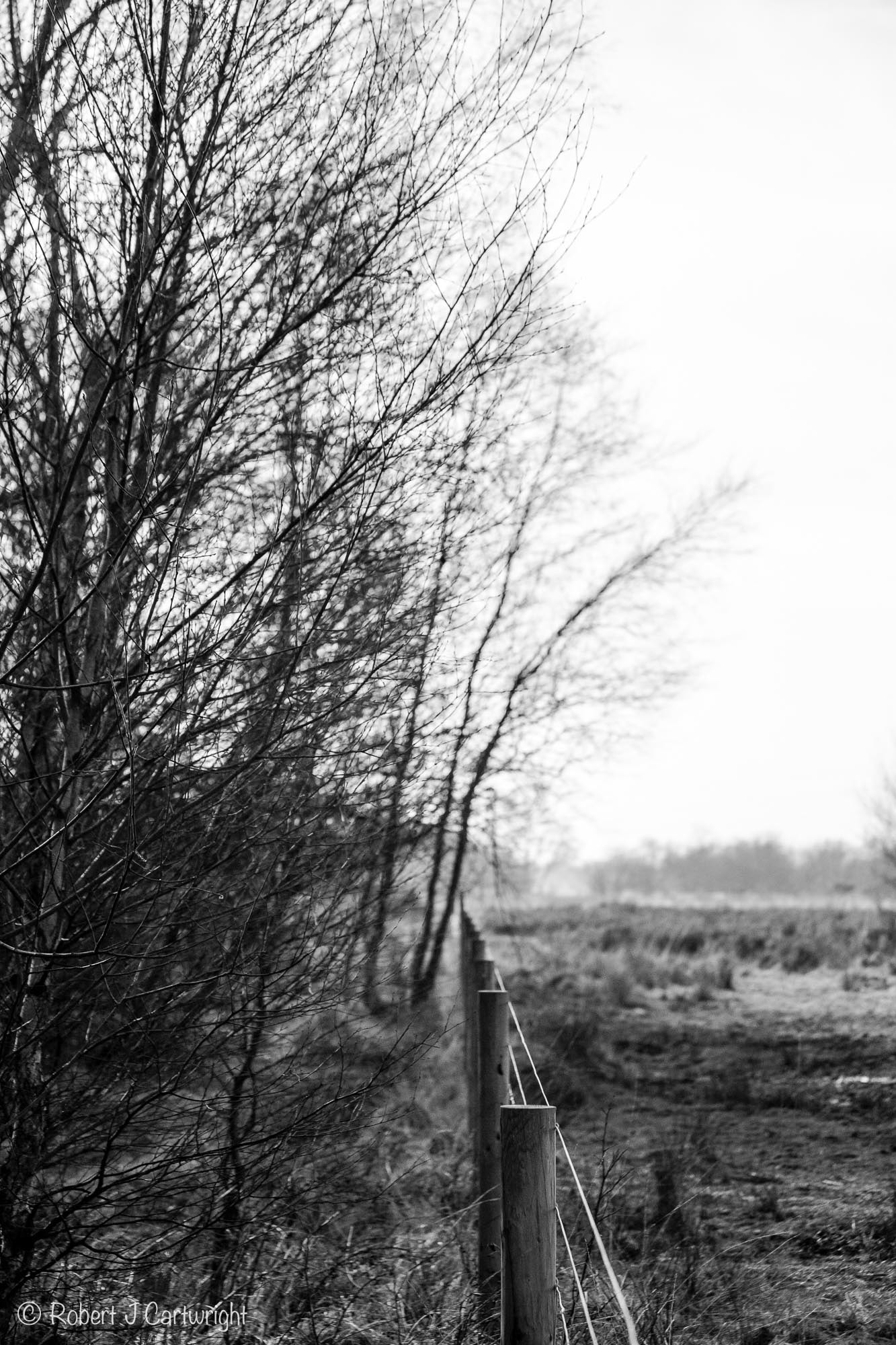 Canon EF 70-300mm F4-5.6 IS USM sample photo. Into the distance photography