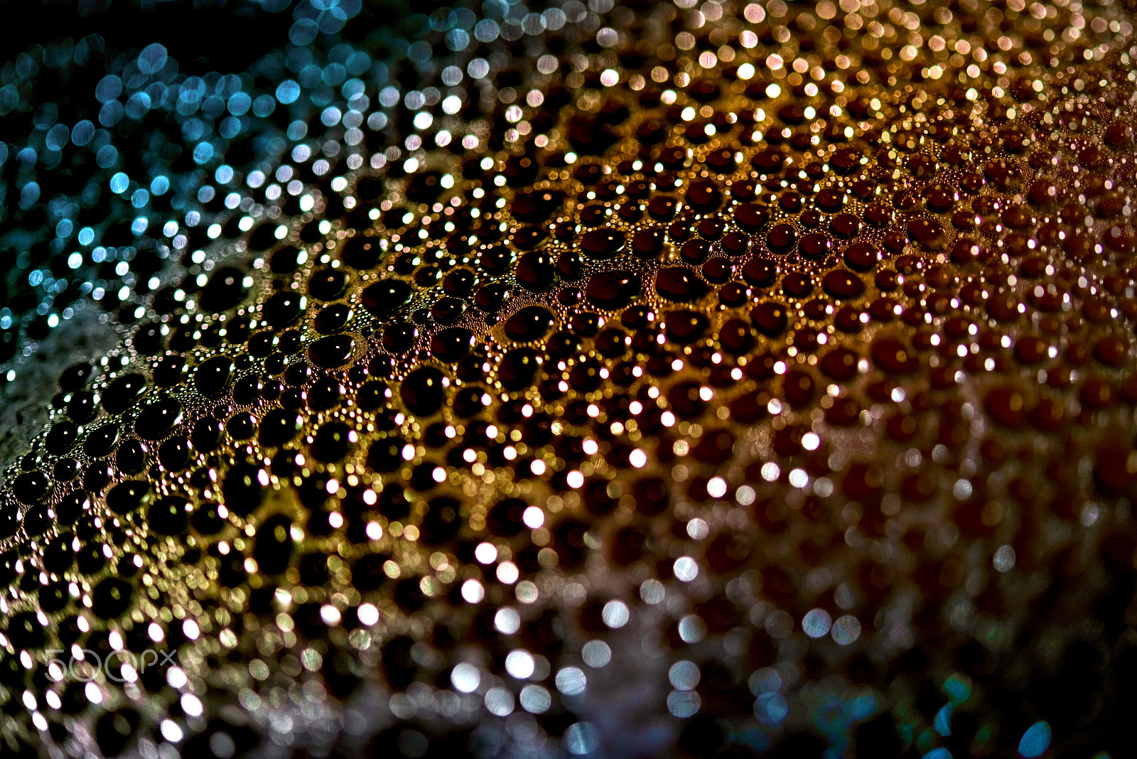 Nikon AF-S Micro-Nikkor 60mm F2.8G ED sample photo. Couples of glass, water drops on glass photography