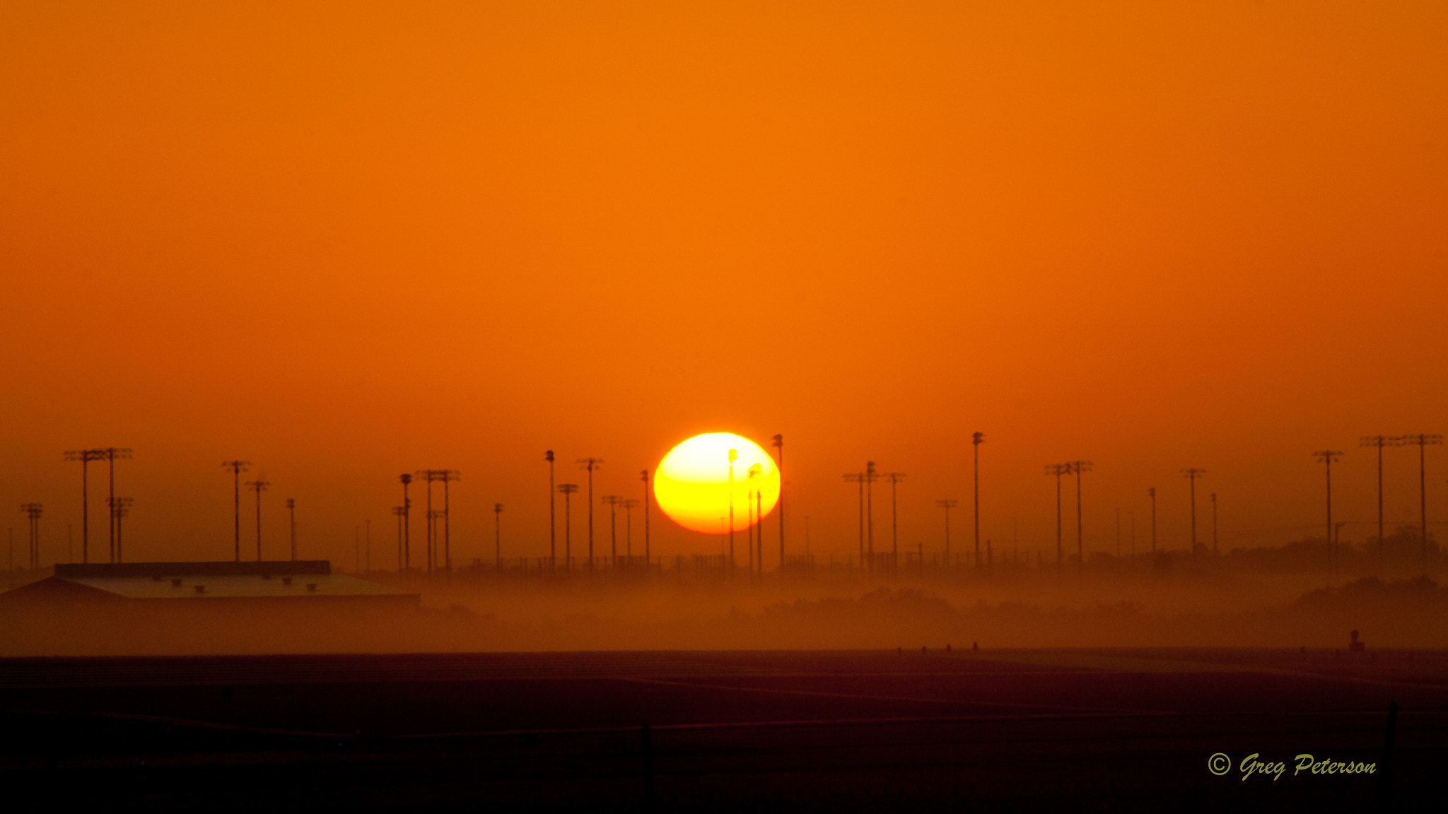 Nikon AF-Nikkor 80-200mm F2.8D ED sample photo. Up with the sun photography