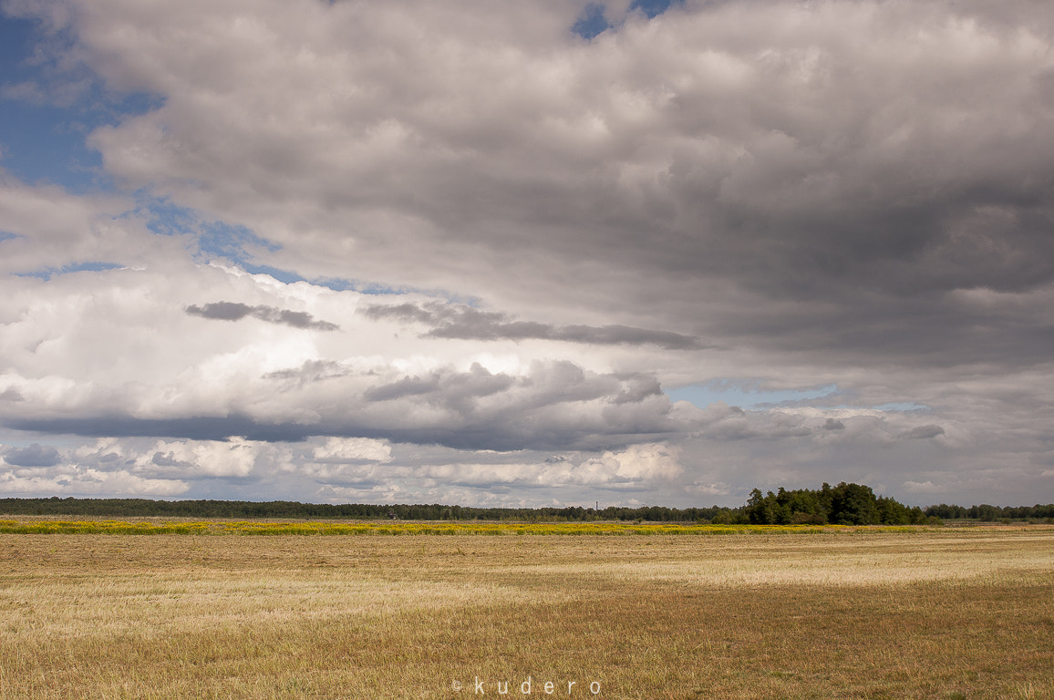 AF Zoom-Nikkor 28-105mm f/3.5-4.5D IF sample photo. Simply beautiful day photography