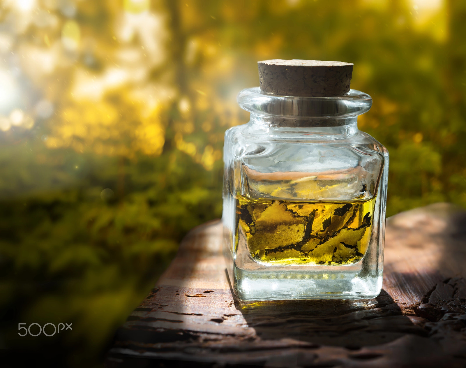 Nikon AF-S Micro-Nikkor 60mm F2.8G ED sample photo. Mushroom  truffle in jar of glass photography