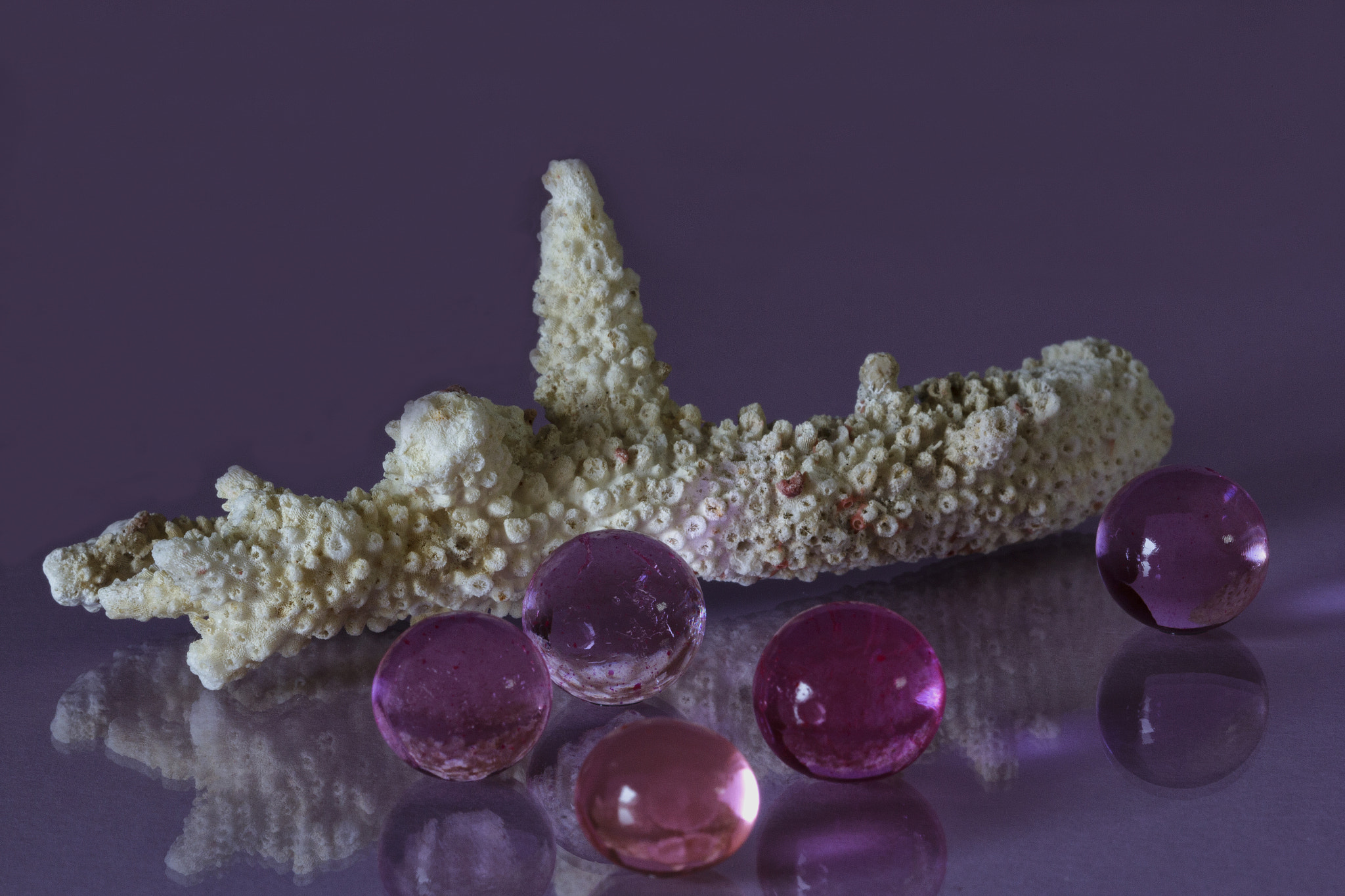 Canon EF 100mm F2.8 Macro USM sample photo. Coral and drops photography