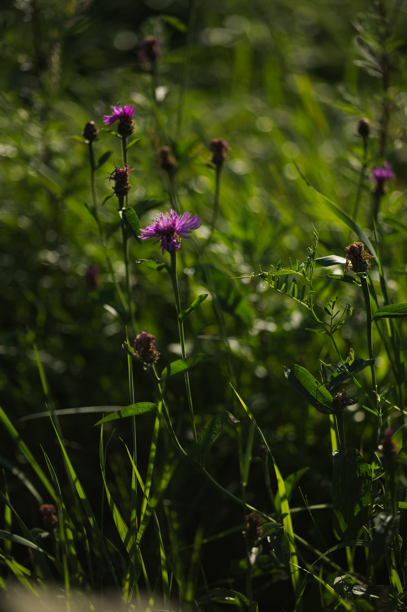 Canon EOS 5D sample photo. Img_2818.jpg photography