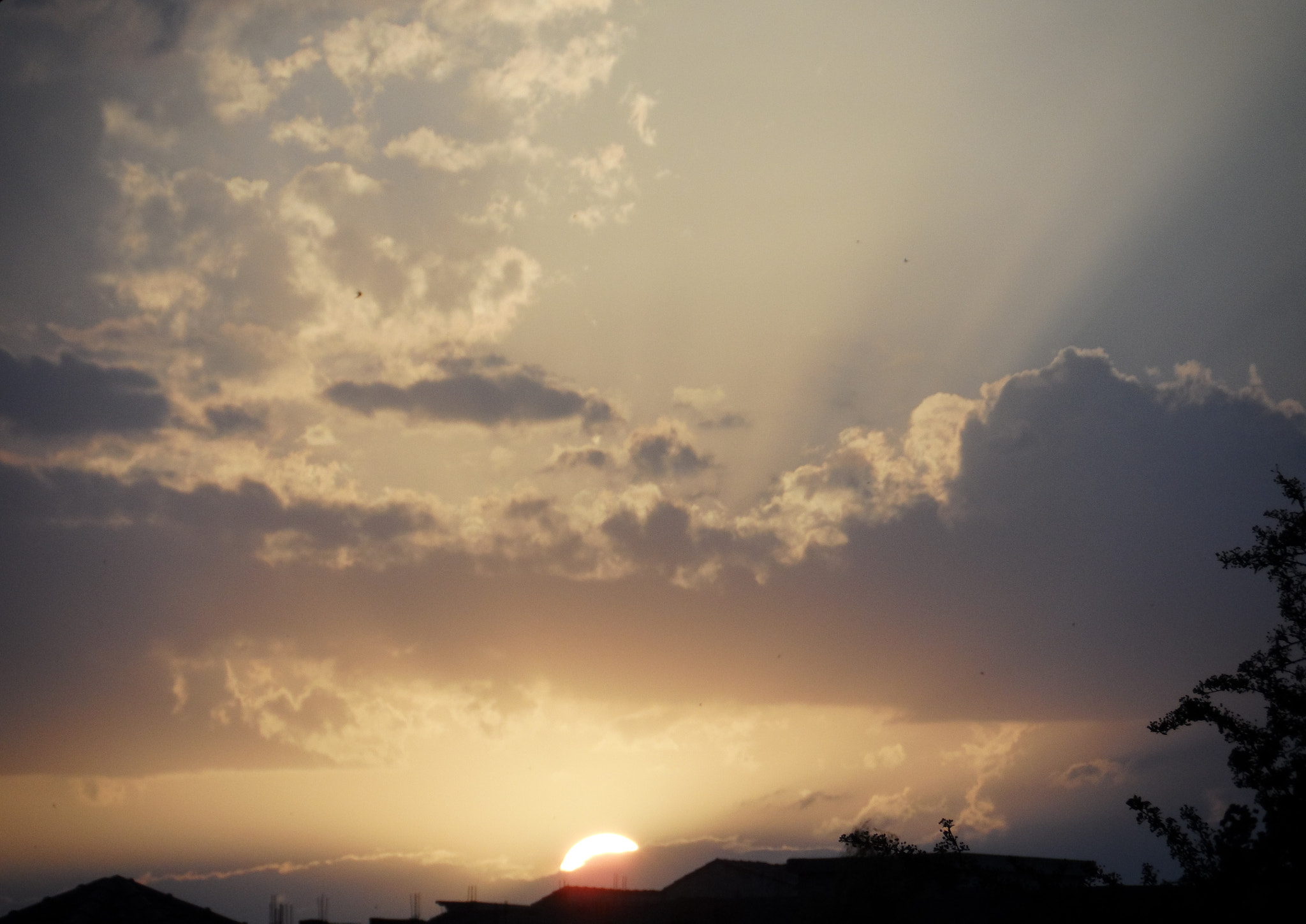 Samsung WB150 / WB150F / WB152 / WB152F / WB151 / WB151F / WB140 sample photo. Good morning photography