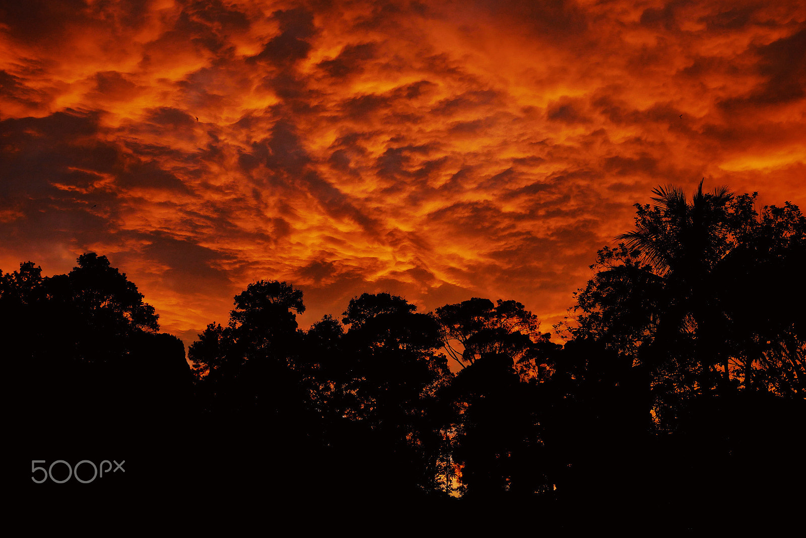 Panasonic Lumix G X Vario 12-35mm F2.8 ASPH Power OIS sample photo. Sunset in malysia photography
